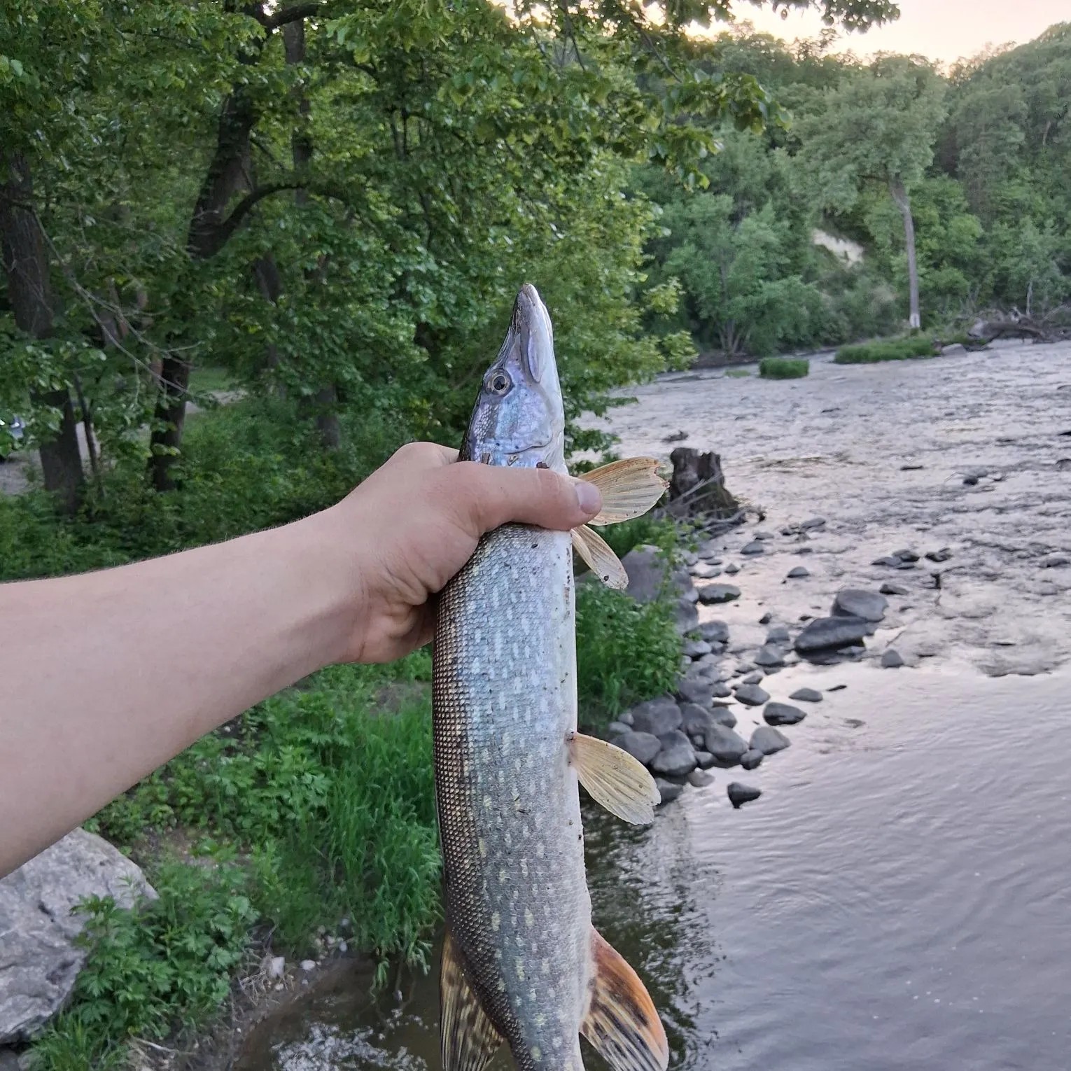 catch
