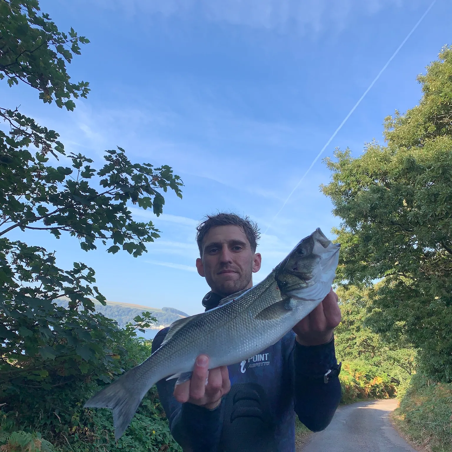 The most recent European seabass catches on Fishbrain