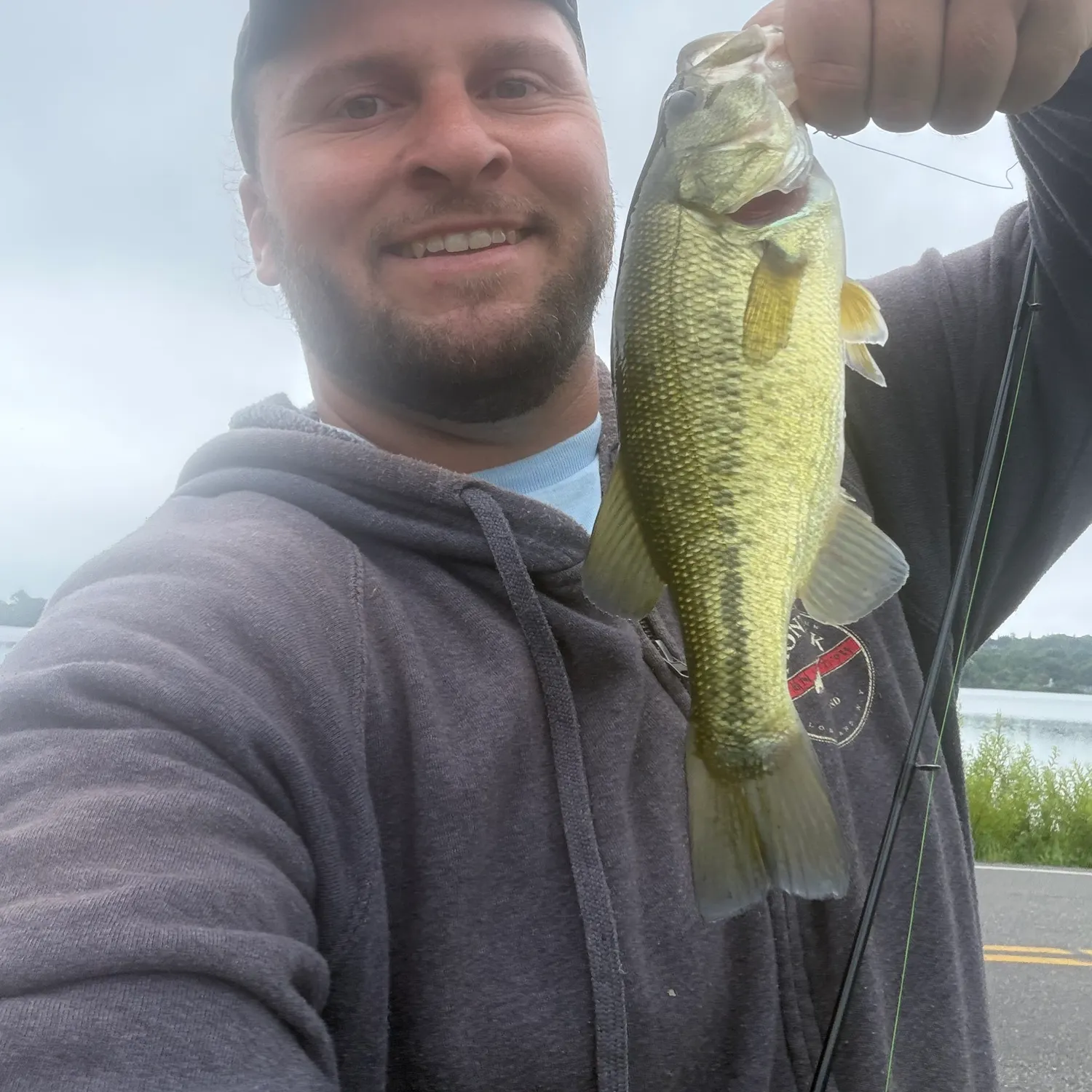 Largemouth bass caught on Fishbrain