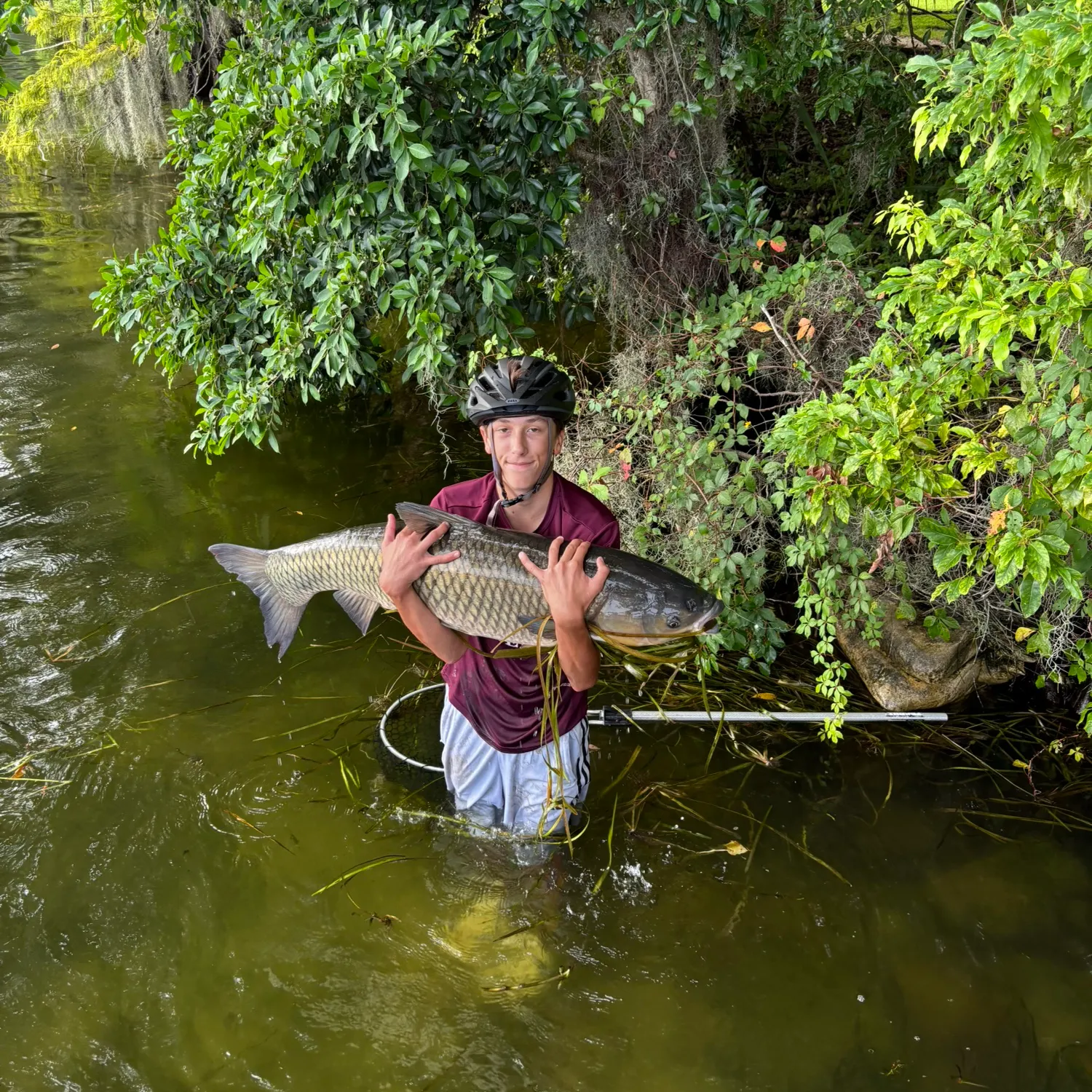 Grass carp caught on Fishbrain