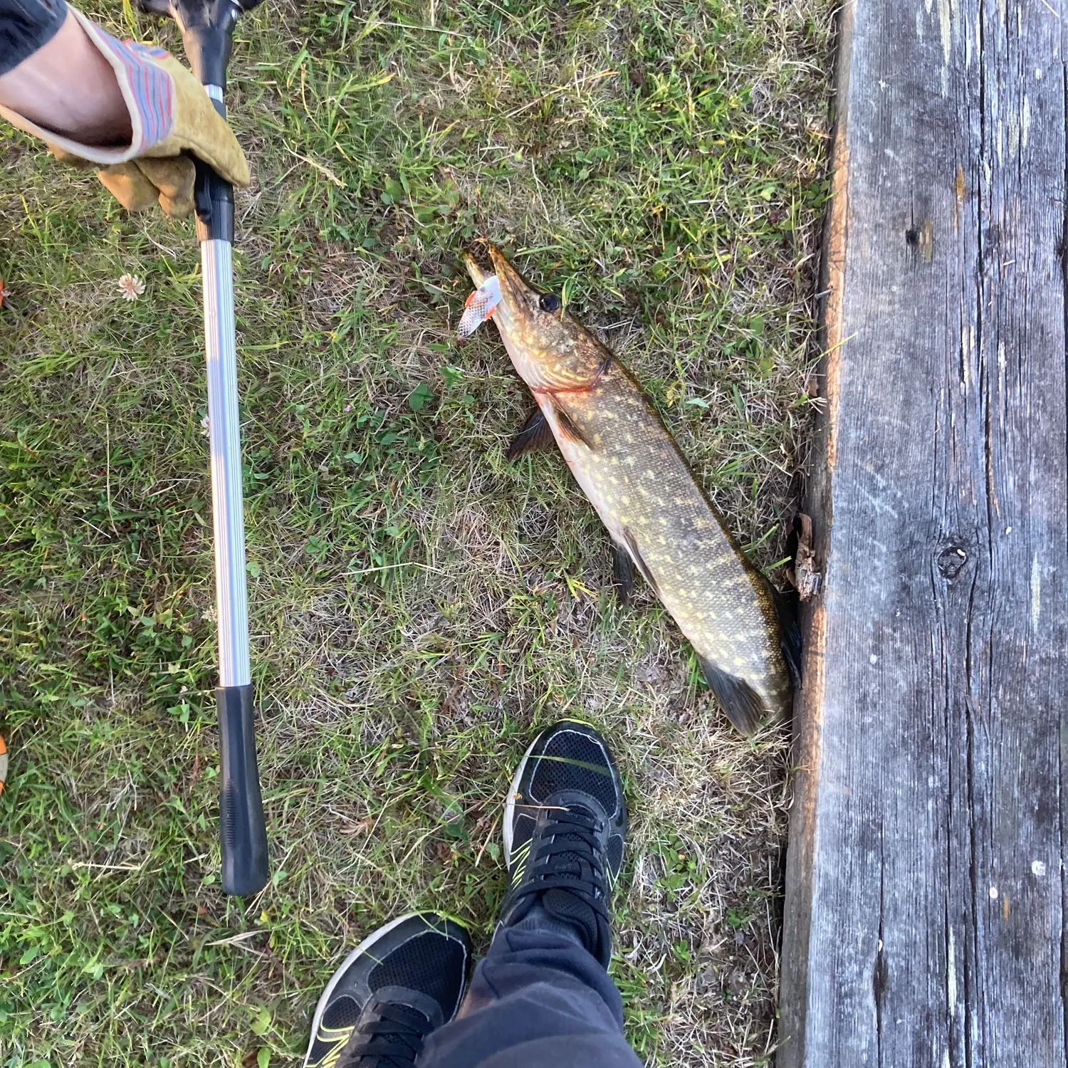 catch