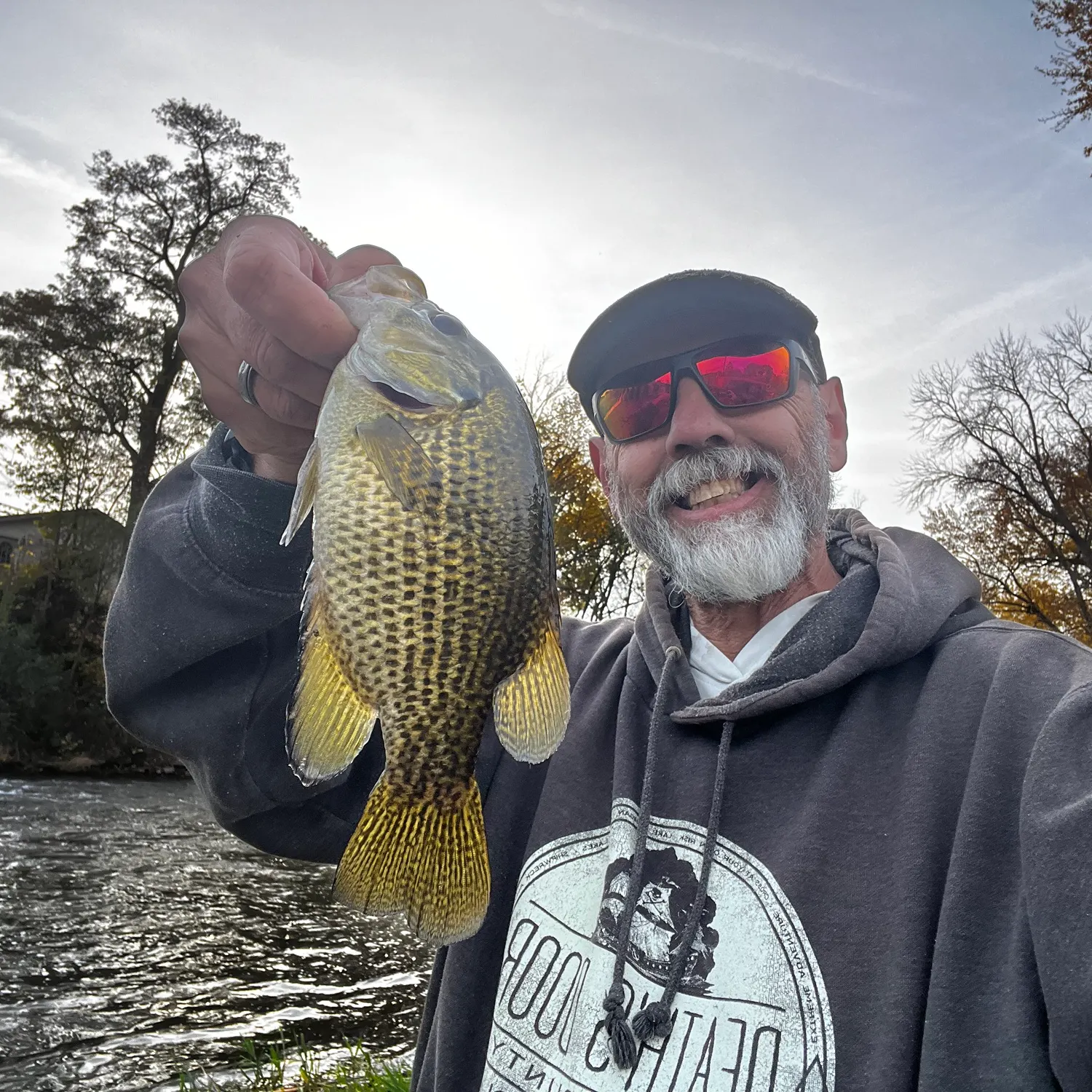 Rock bass caught on Fishbrain