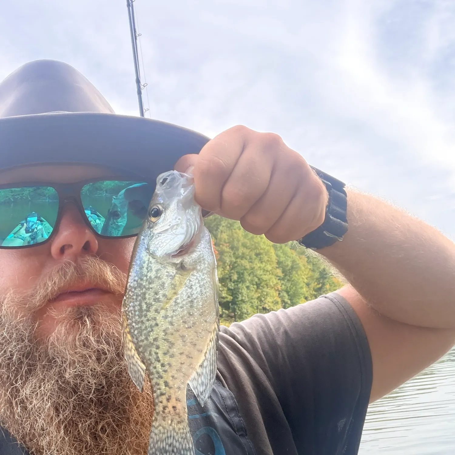 Black crappie caught on Fishbrain