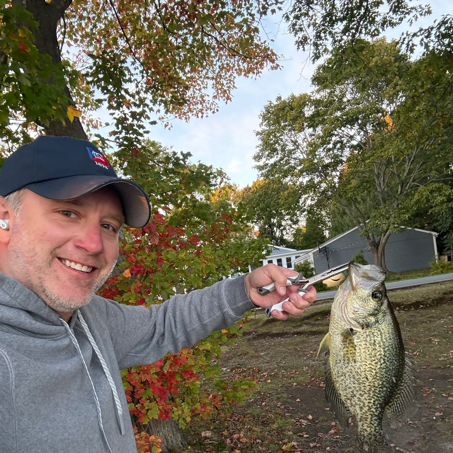 Black crappie caught on Fishbrain