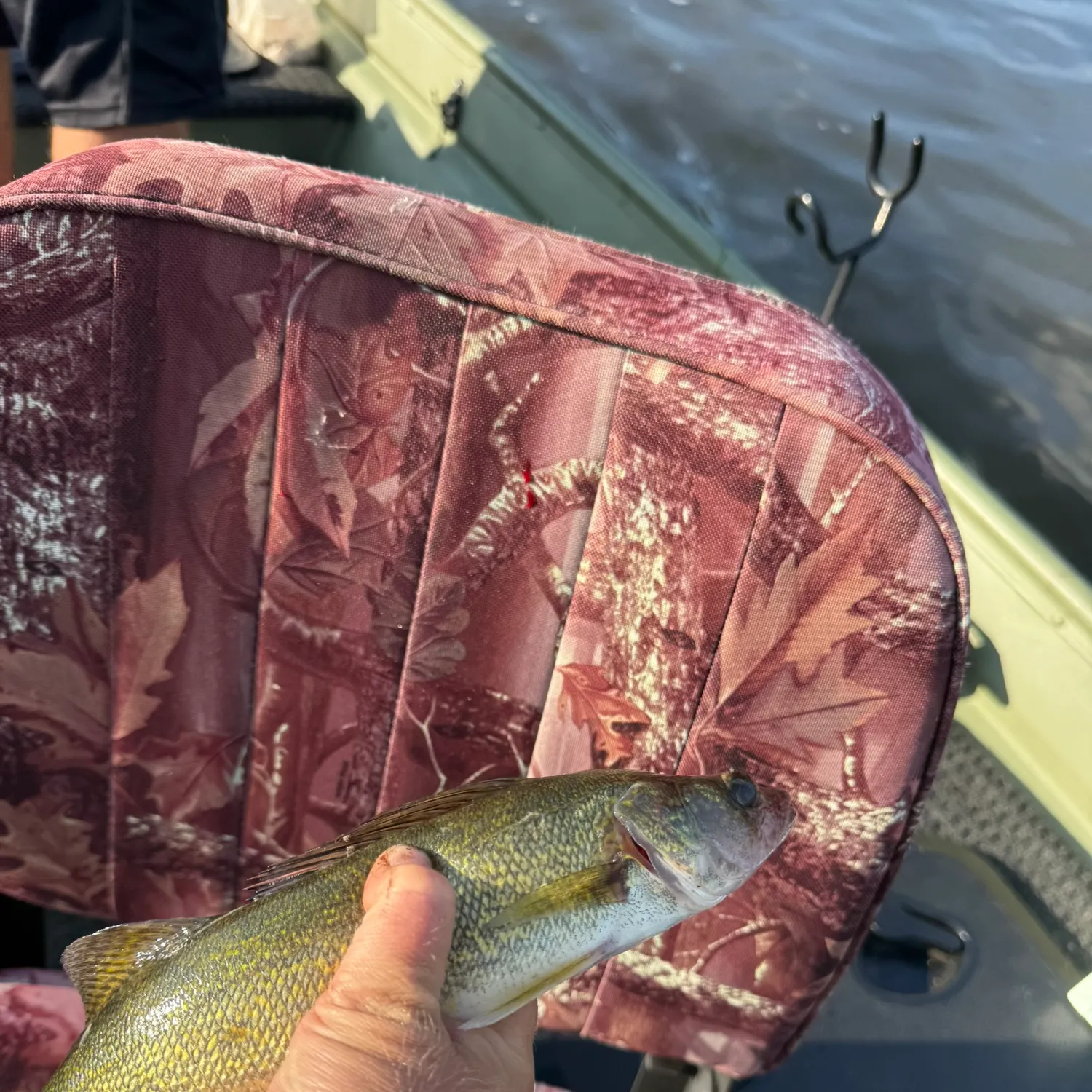 Walleye caught on Fishbrain