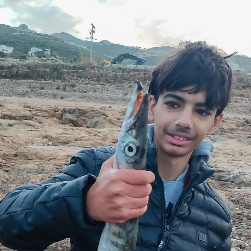 The most recent European barracuda catches on Fishbrain