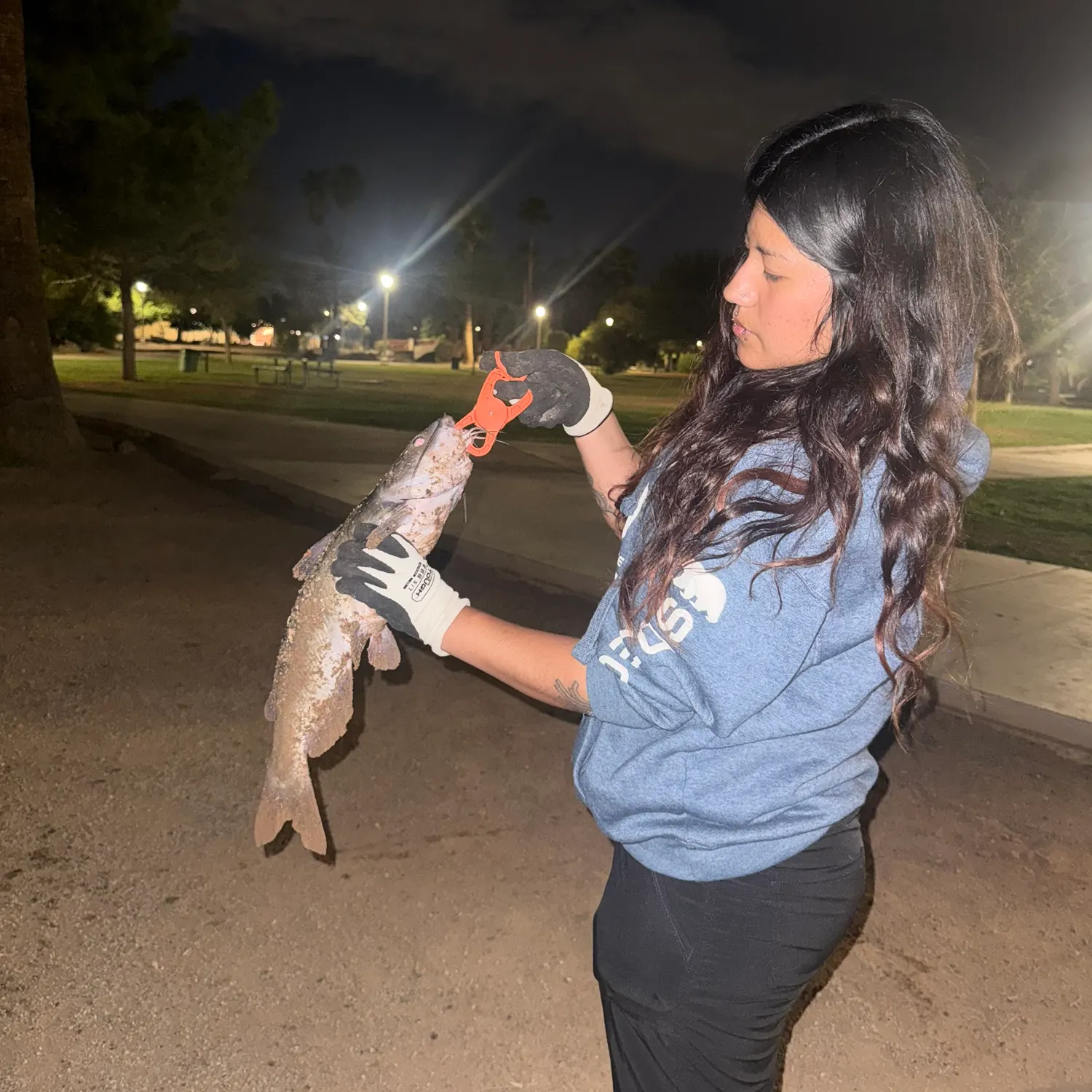 Channel catfish caught on Fishbrain