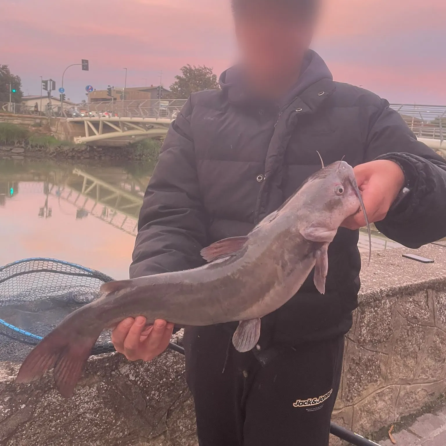 Channel catfish caught on Fishbrain
