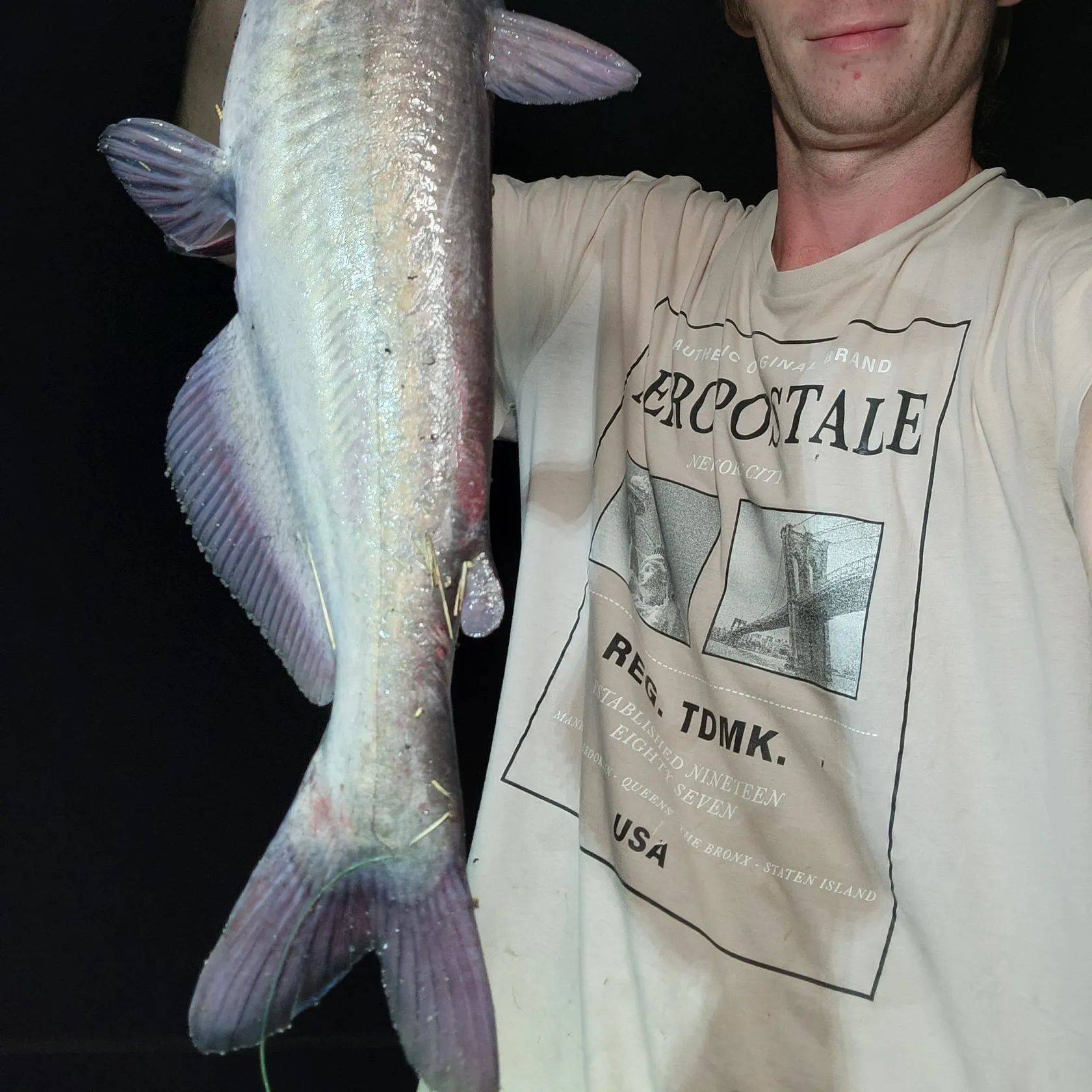 Blue catfish caught on Fishbrain