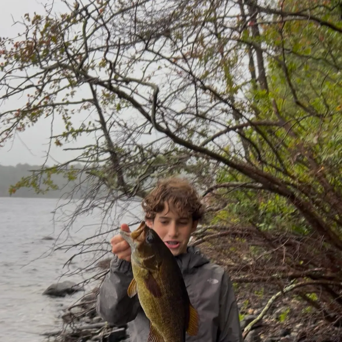 Smallmouth bass caught on Fishbrain
