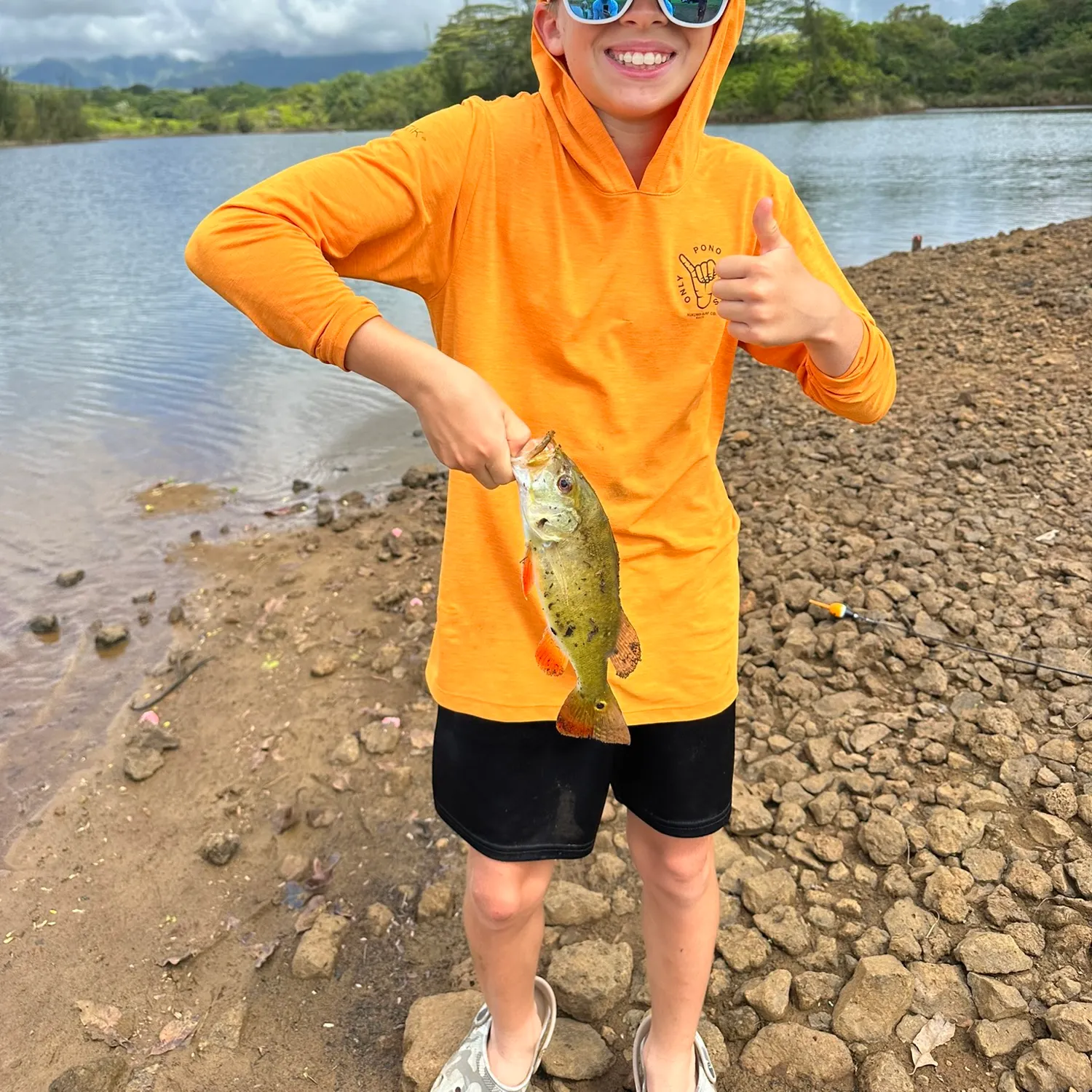 Butterfly peacock bass caught on Fishbrain