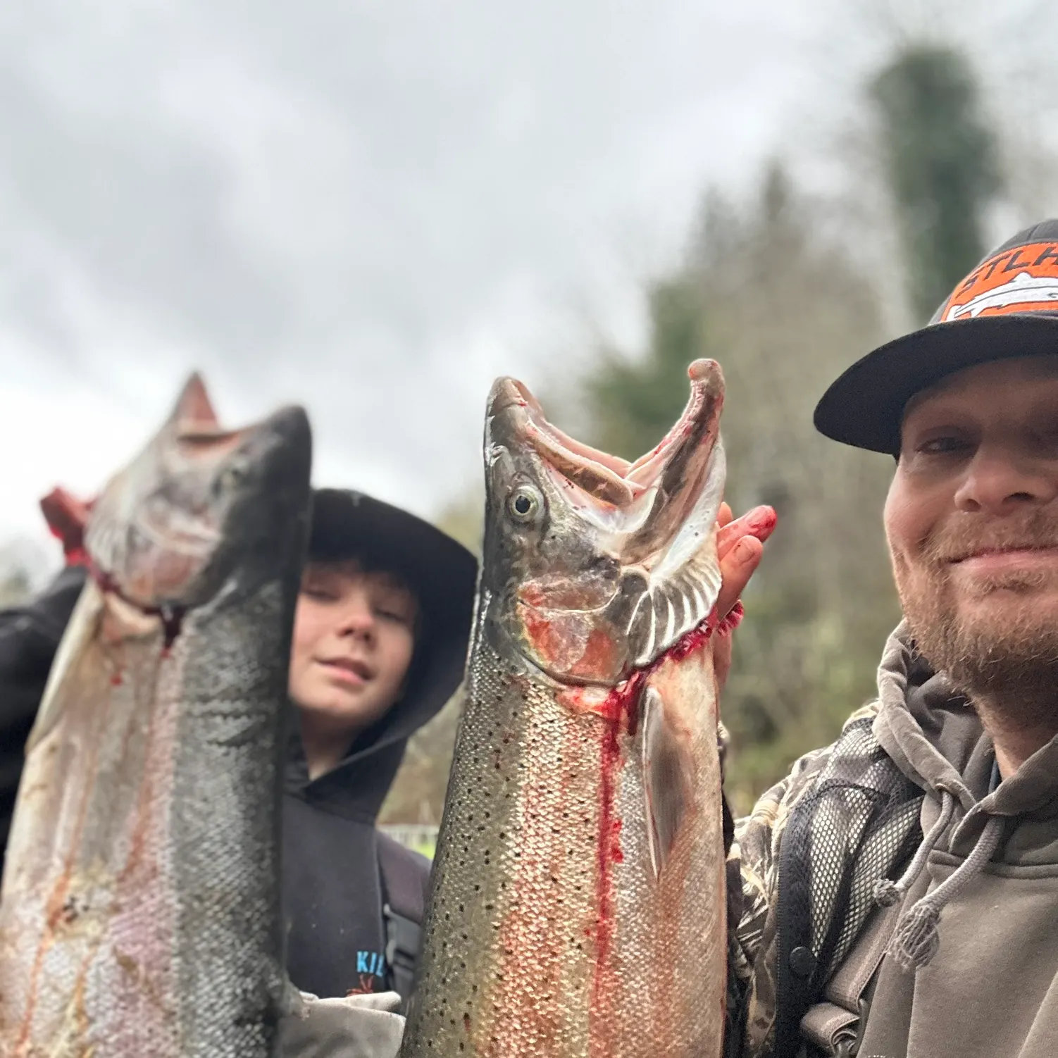 The most recent Steelhead catches on Fishbrain