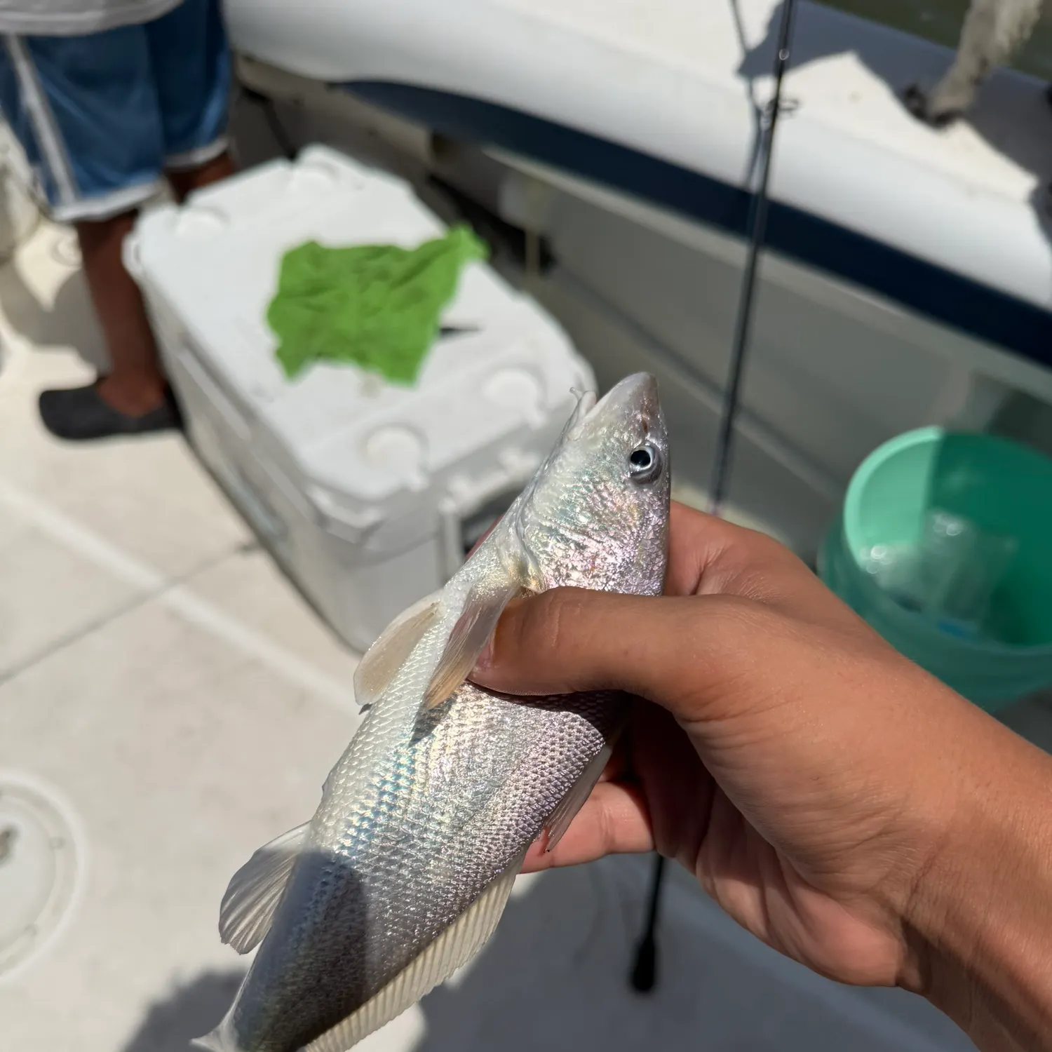 catch