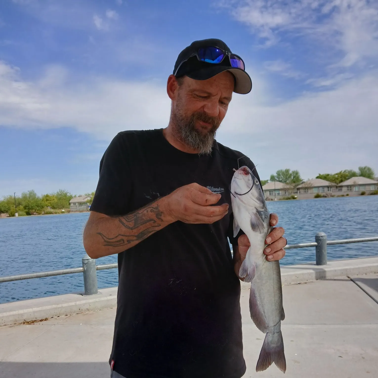 Channel catfish caught on Fishbrain