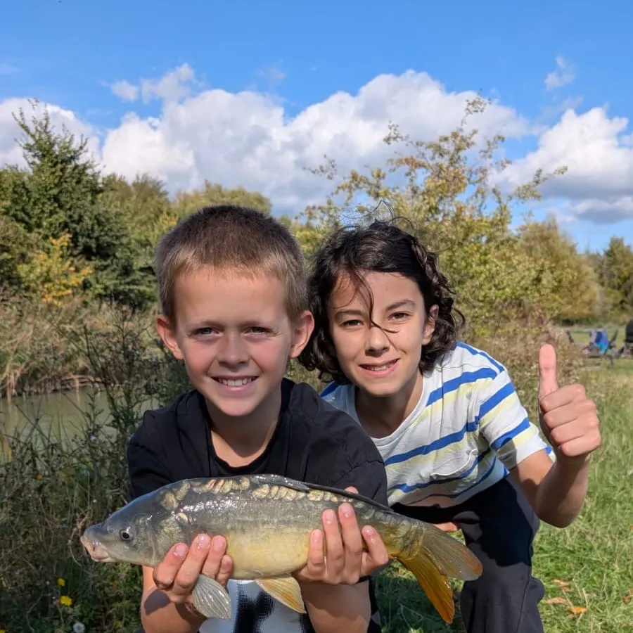 The most recent Leather carp catches on Fishbrain