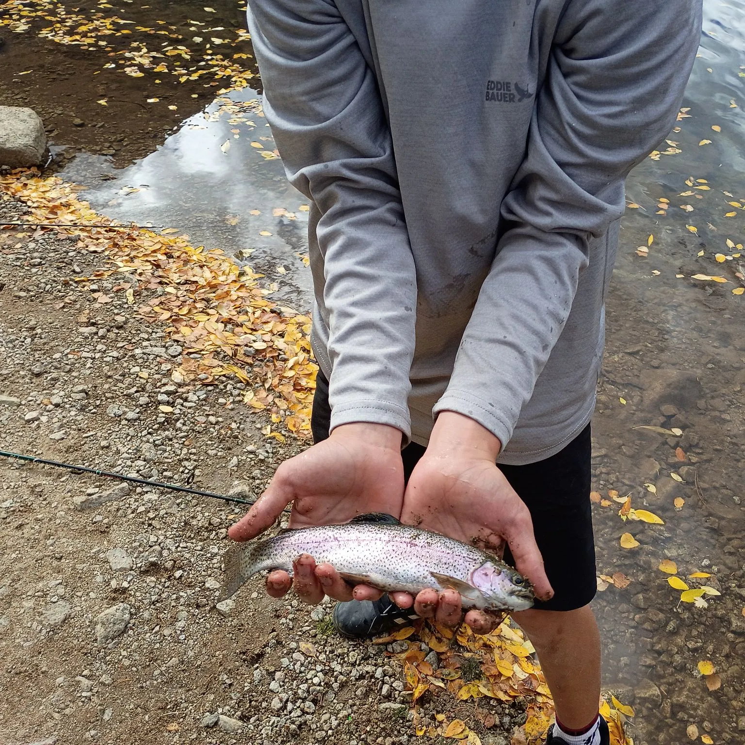 Cutbow caught on Fishbrain