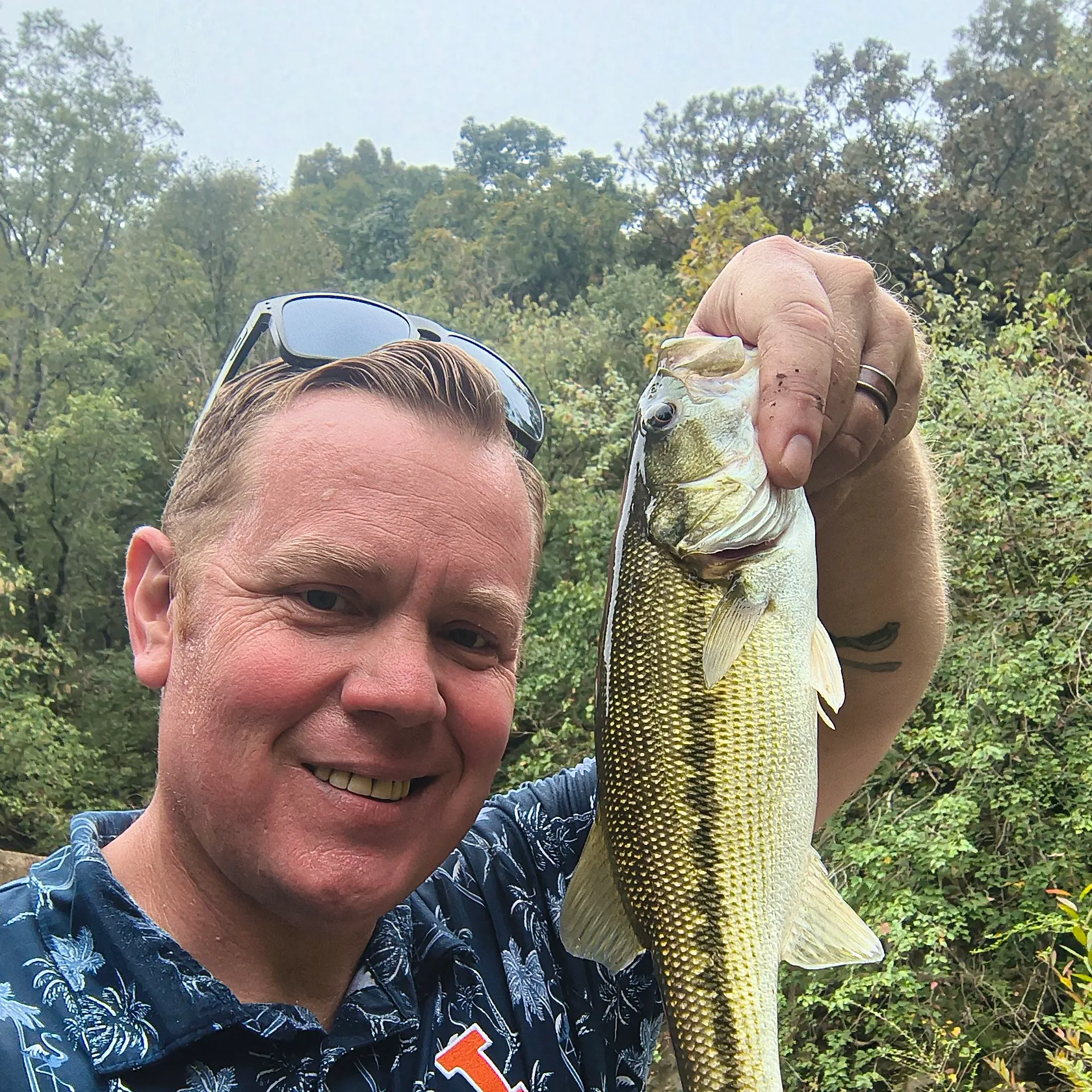 Alabama bass caught on Fishbrain