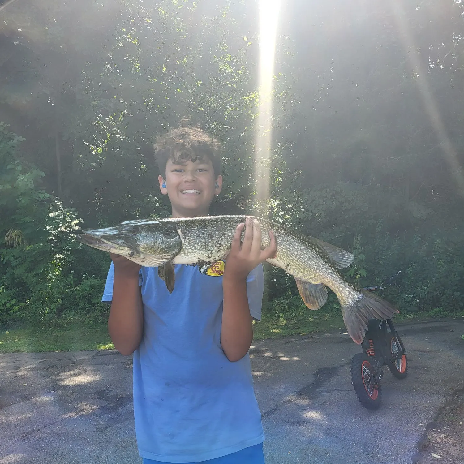 Northern pike caught on Fishbrain