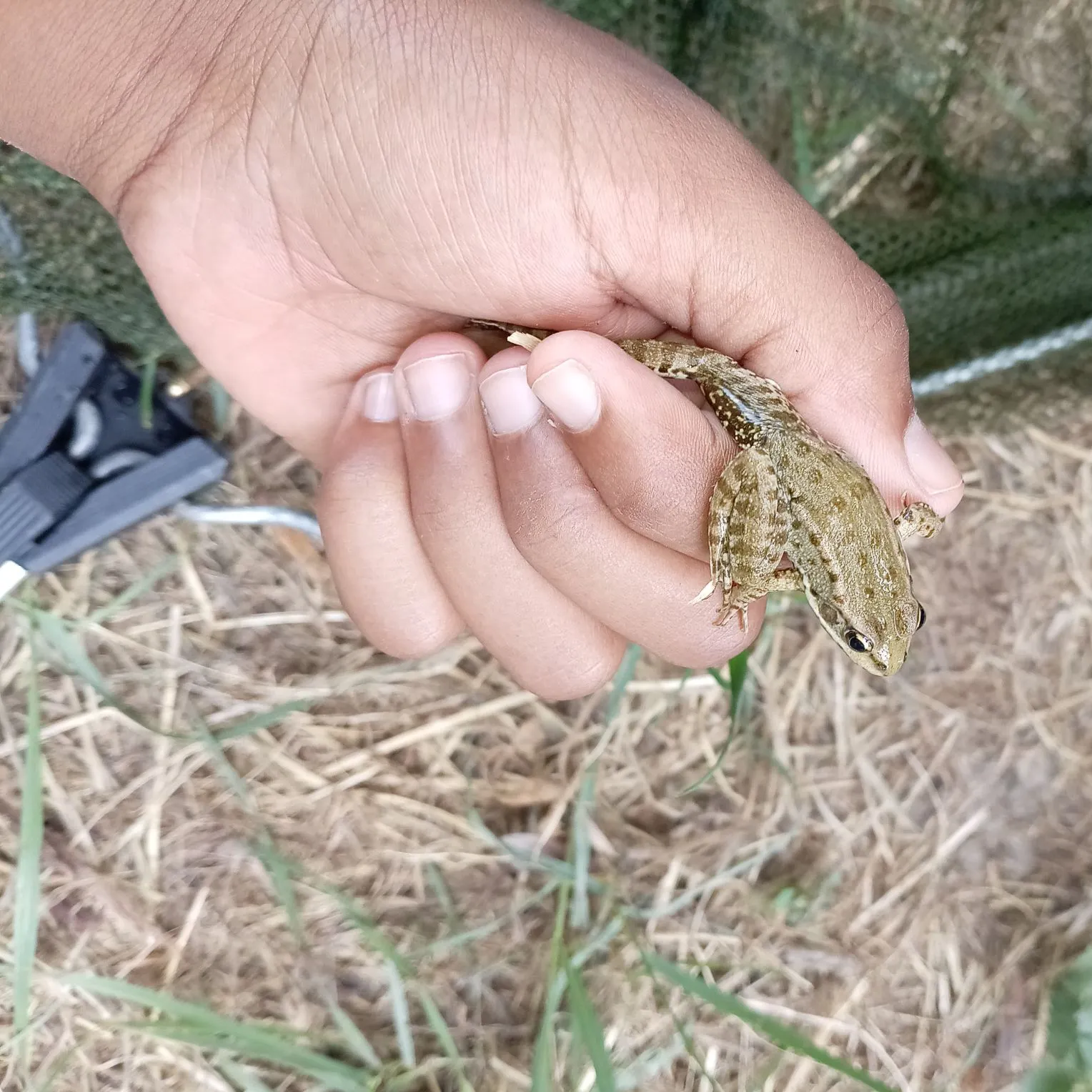 Fish caught on Fishbrain