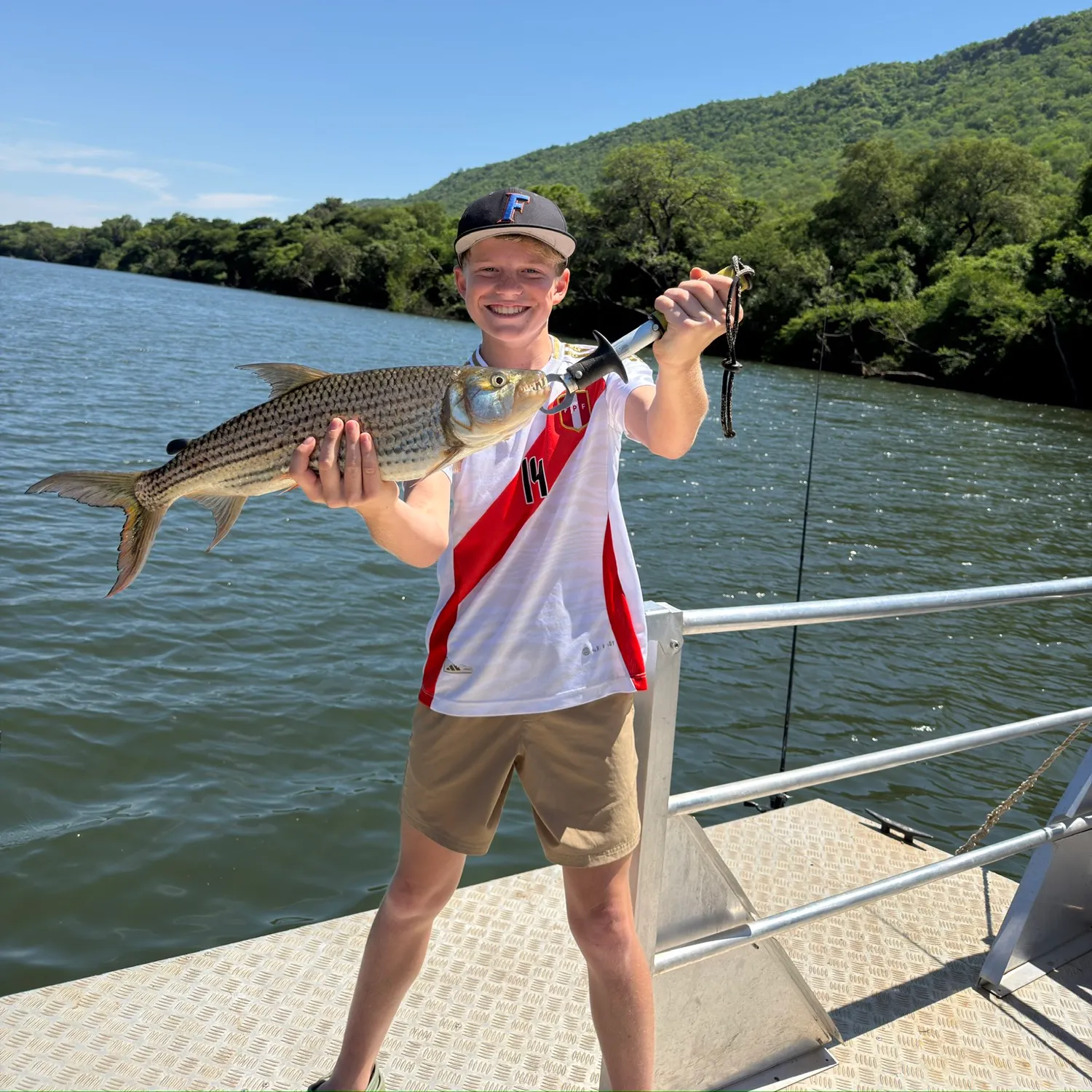 The most recent African tigerfish catches on Fishbrain