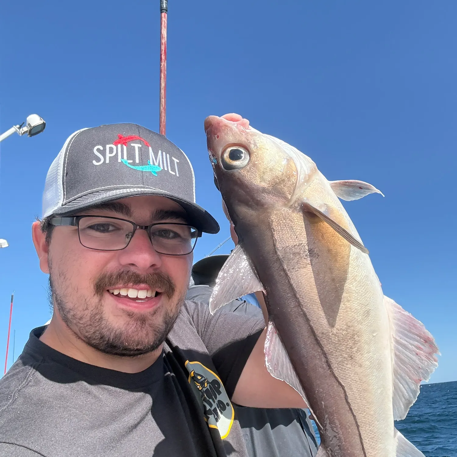The most recent Haddock catches on Fishbrain