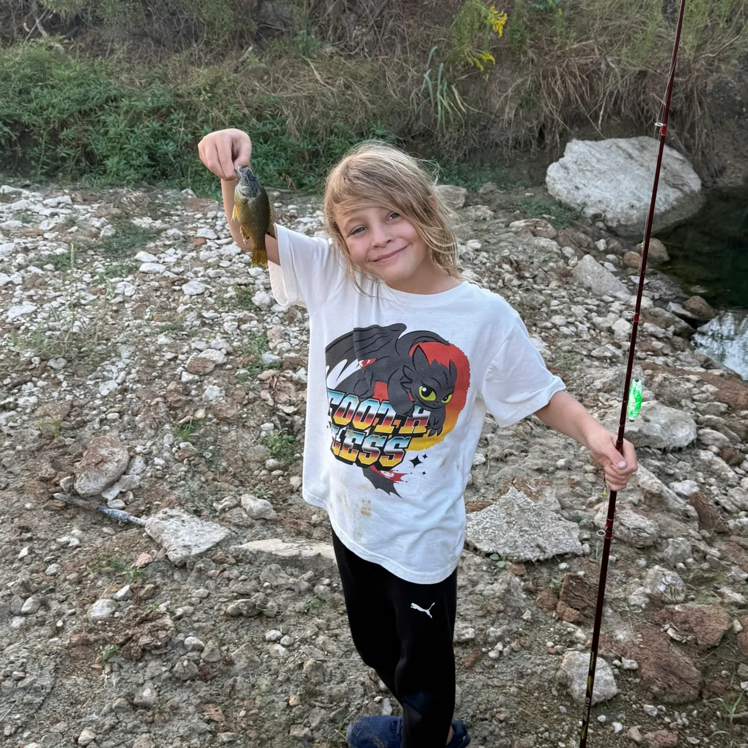 Bluegill caught on Fishbrain