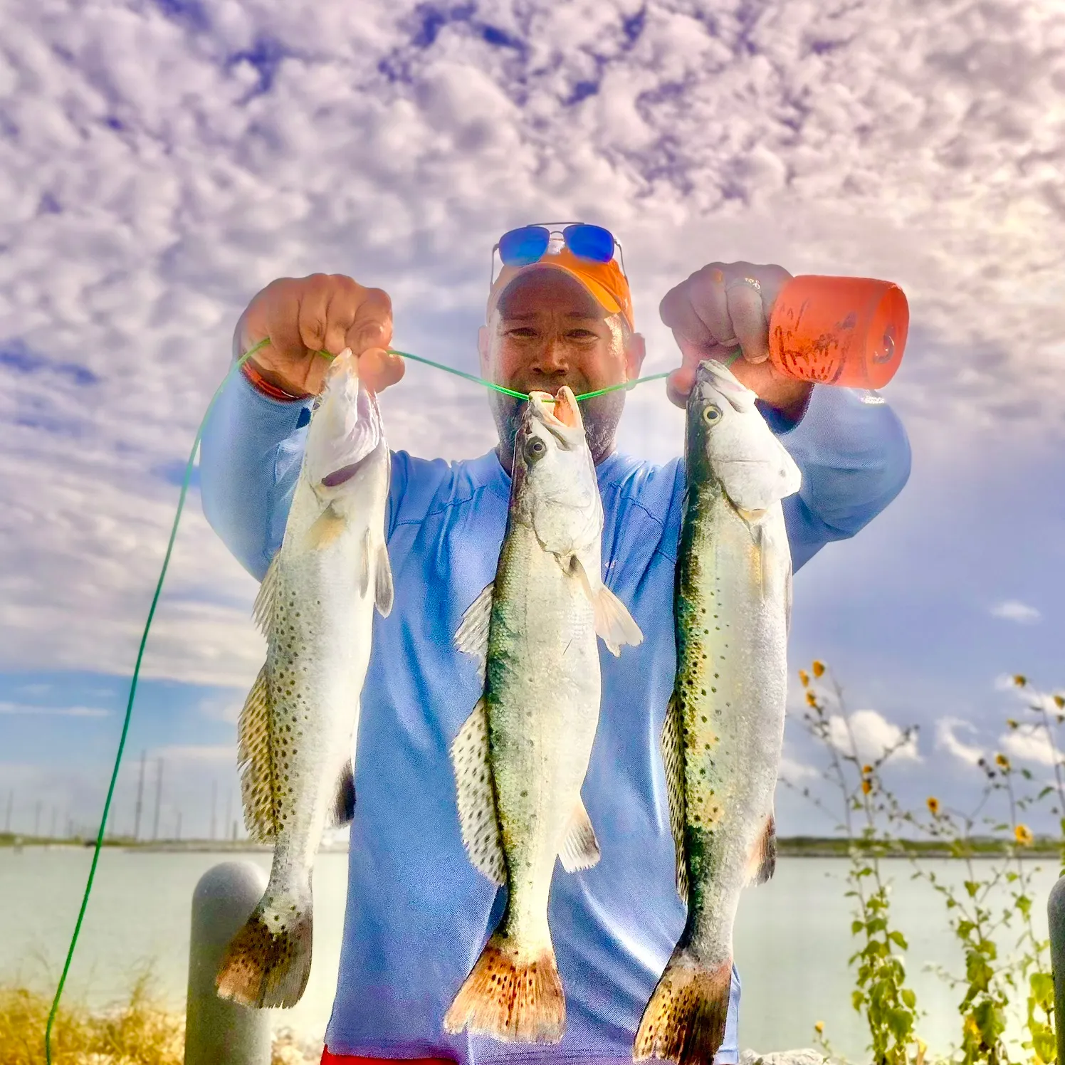 Spotted seatrout caught on Fishbrain