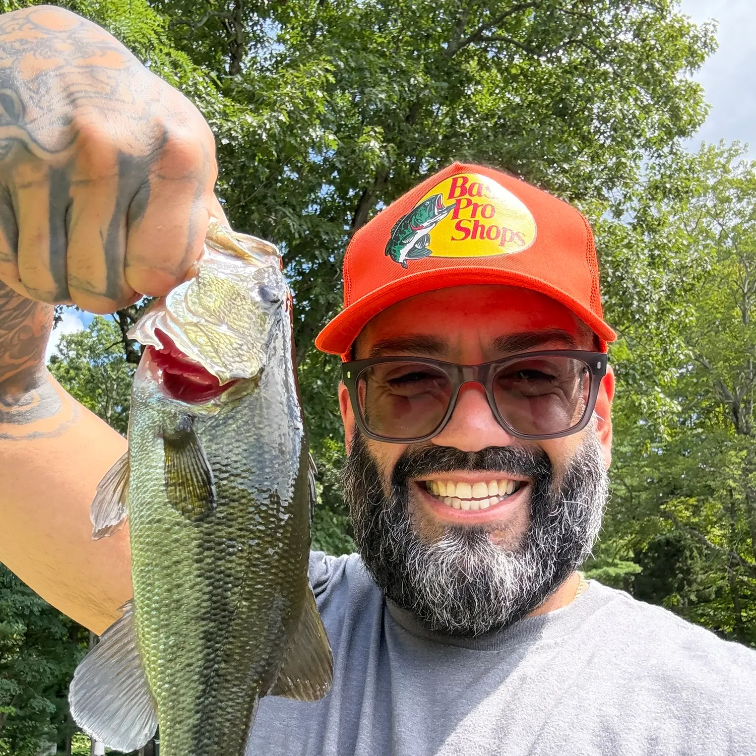 Largemouth bass caught on Fishbrain