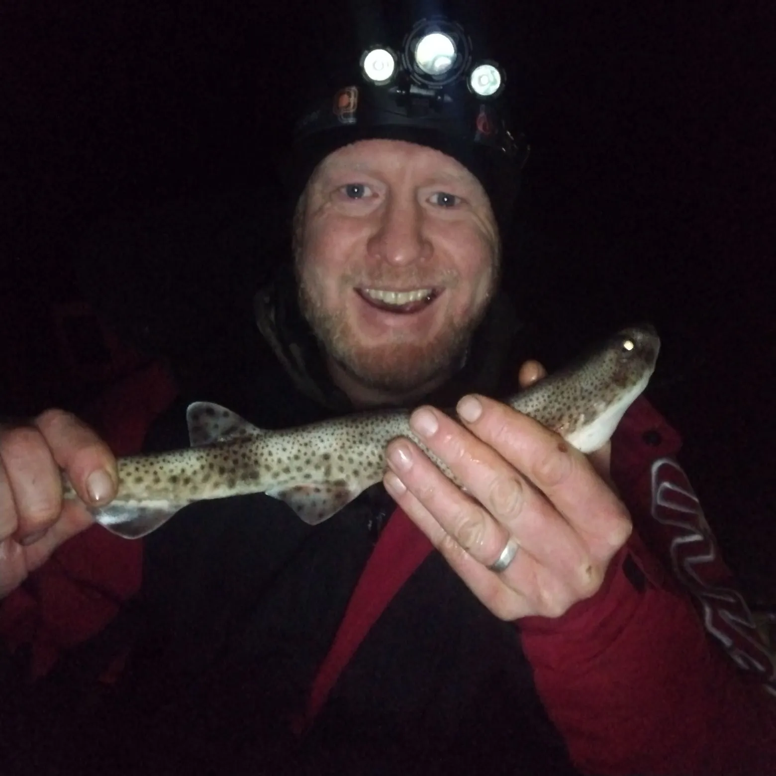 The most recent Lesser spotted dogfish catches on Fishbrain