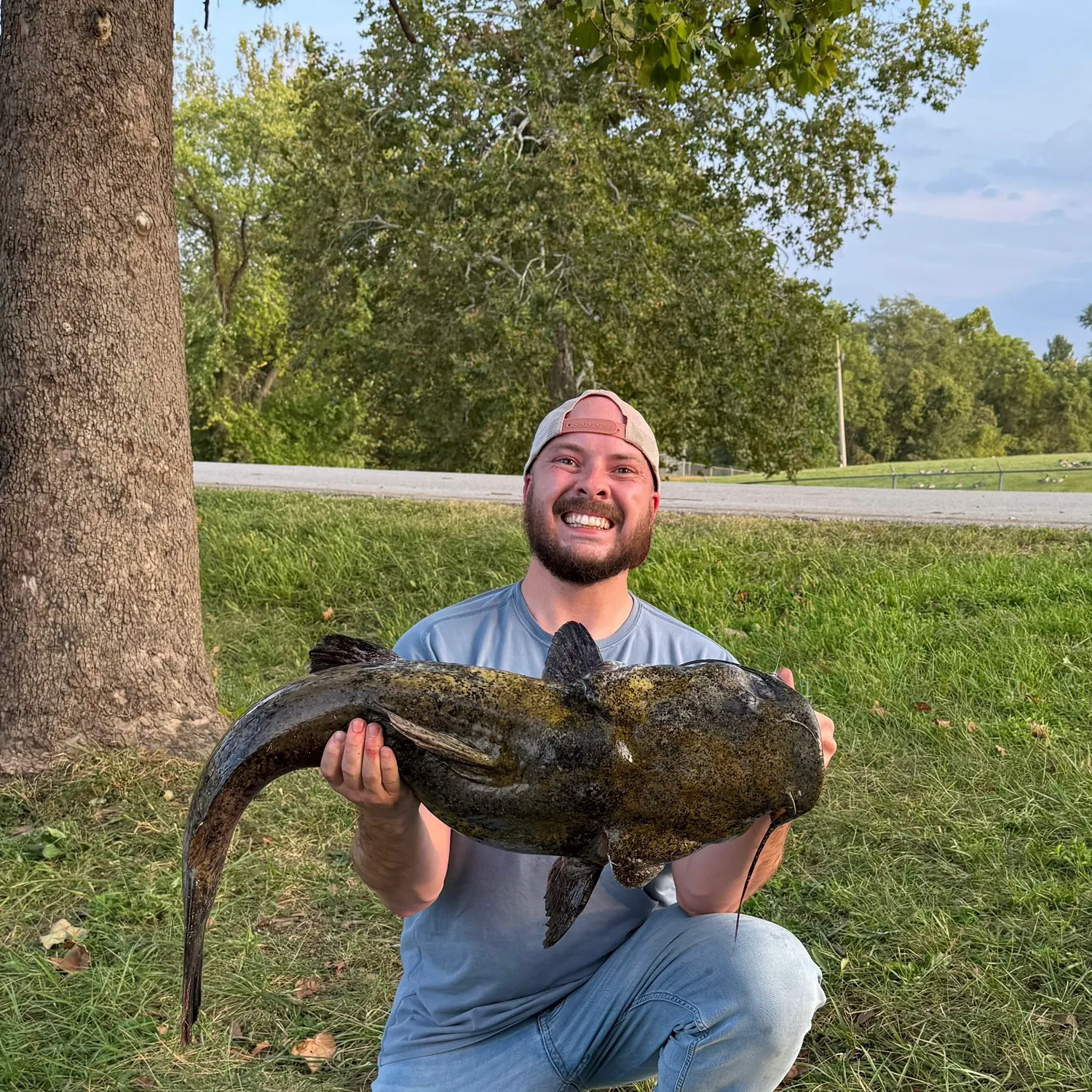 Flathead catfish caught on Fishbrain