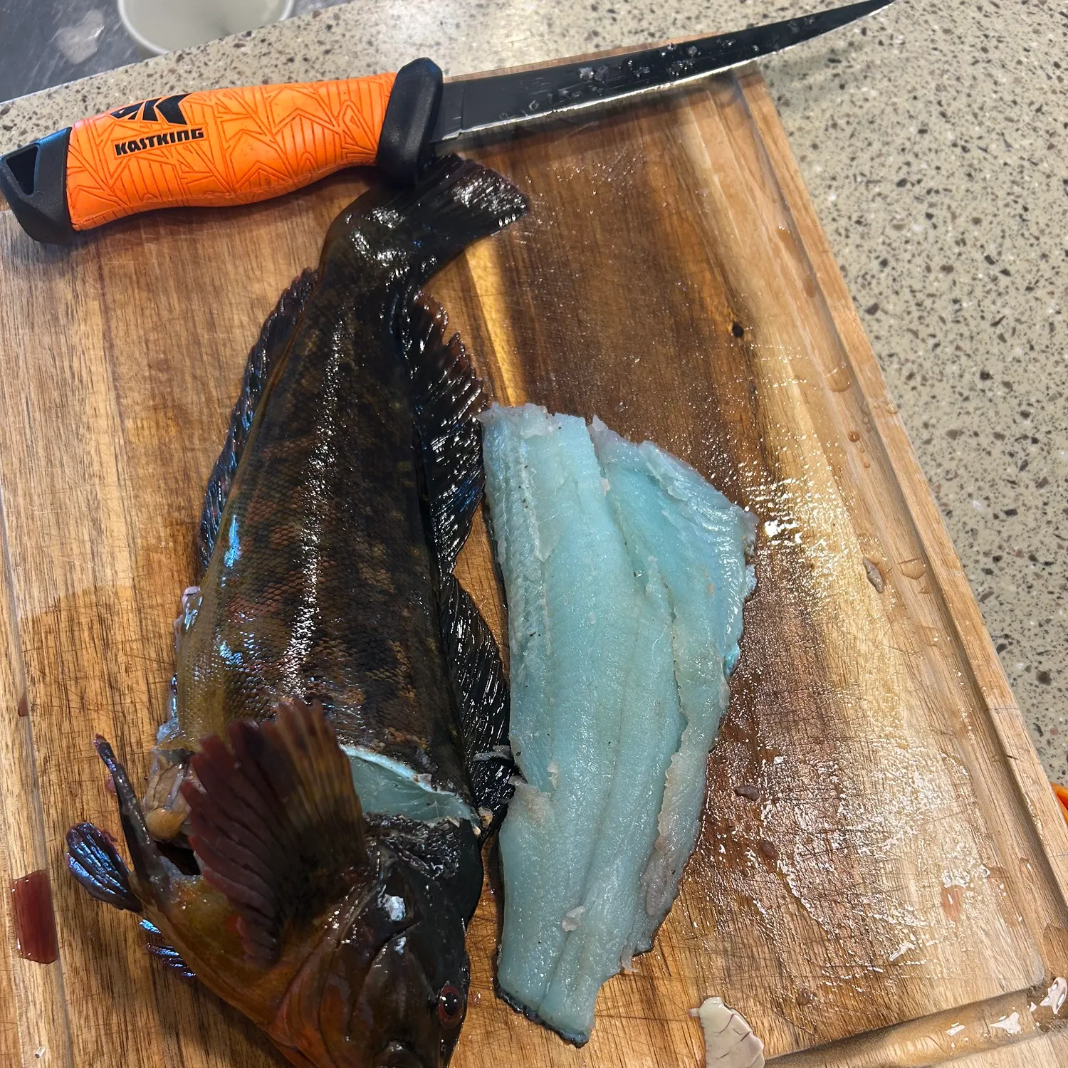The most recent Rock greenling catches on Fishbrain