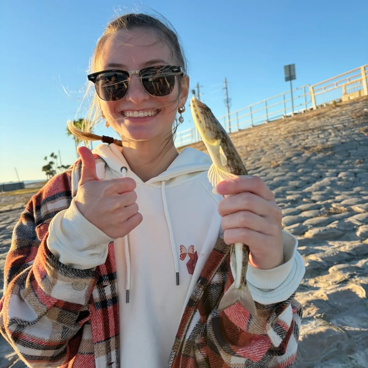 The most recent Clouded lizardfish catches on Fishbrain