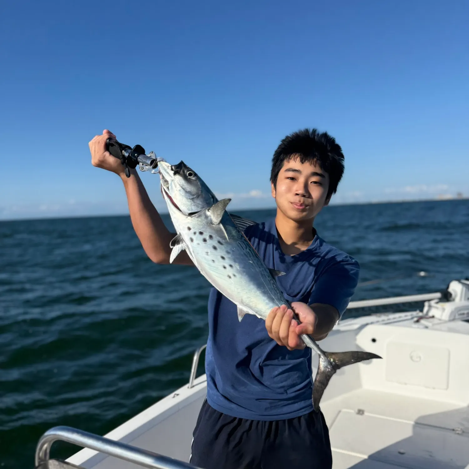 Little tunny caught on Fishbrain