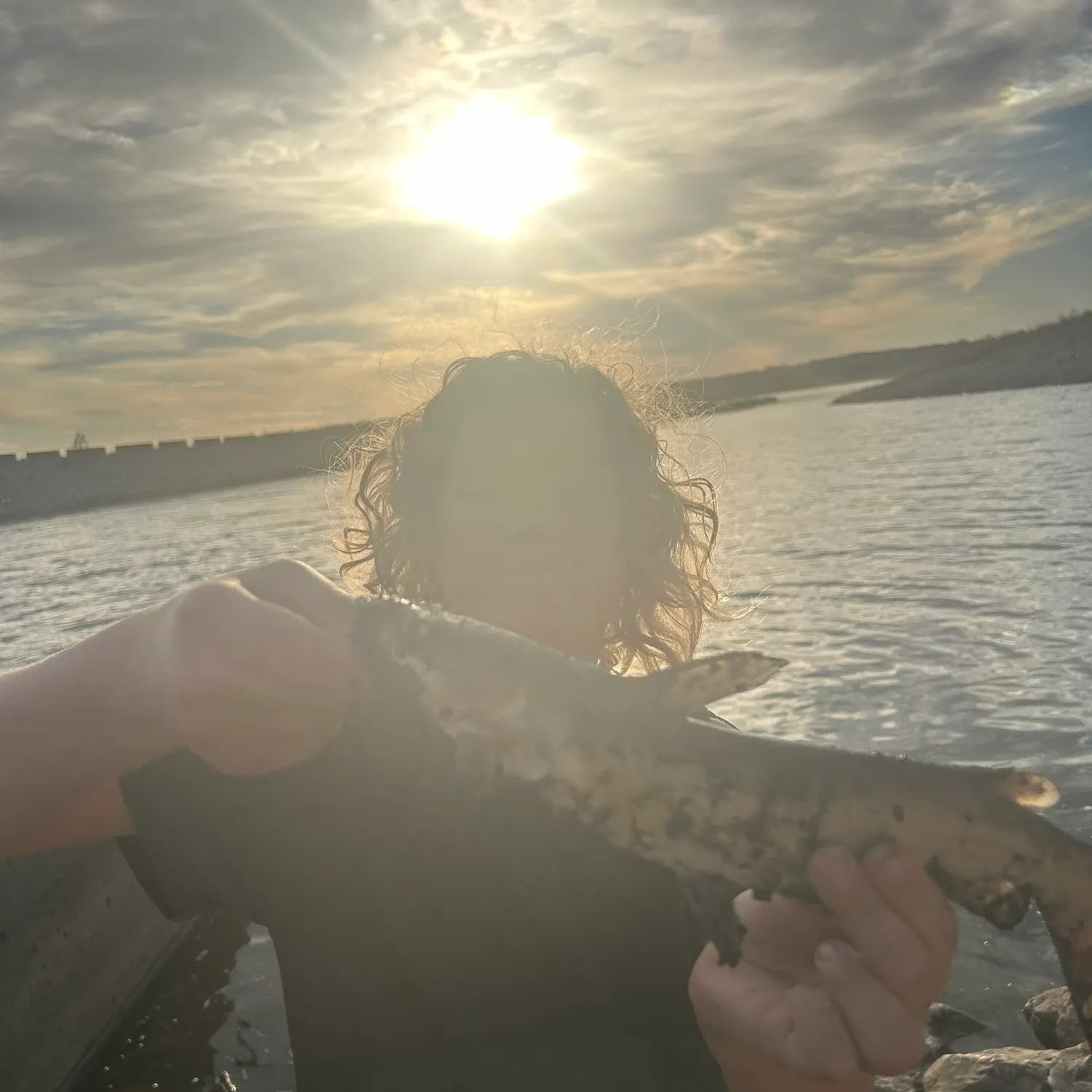 Channel catfish caught on Fishbrain