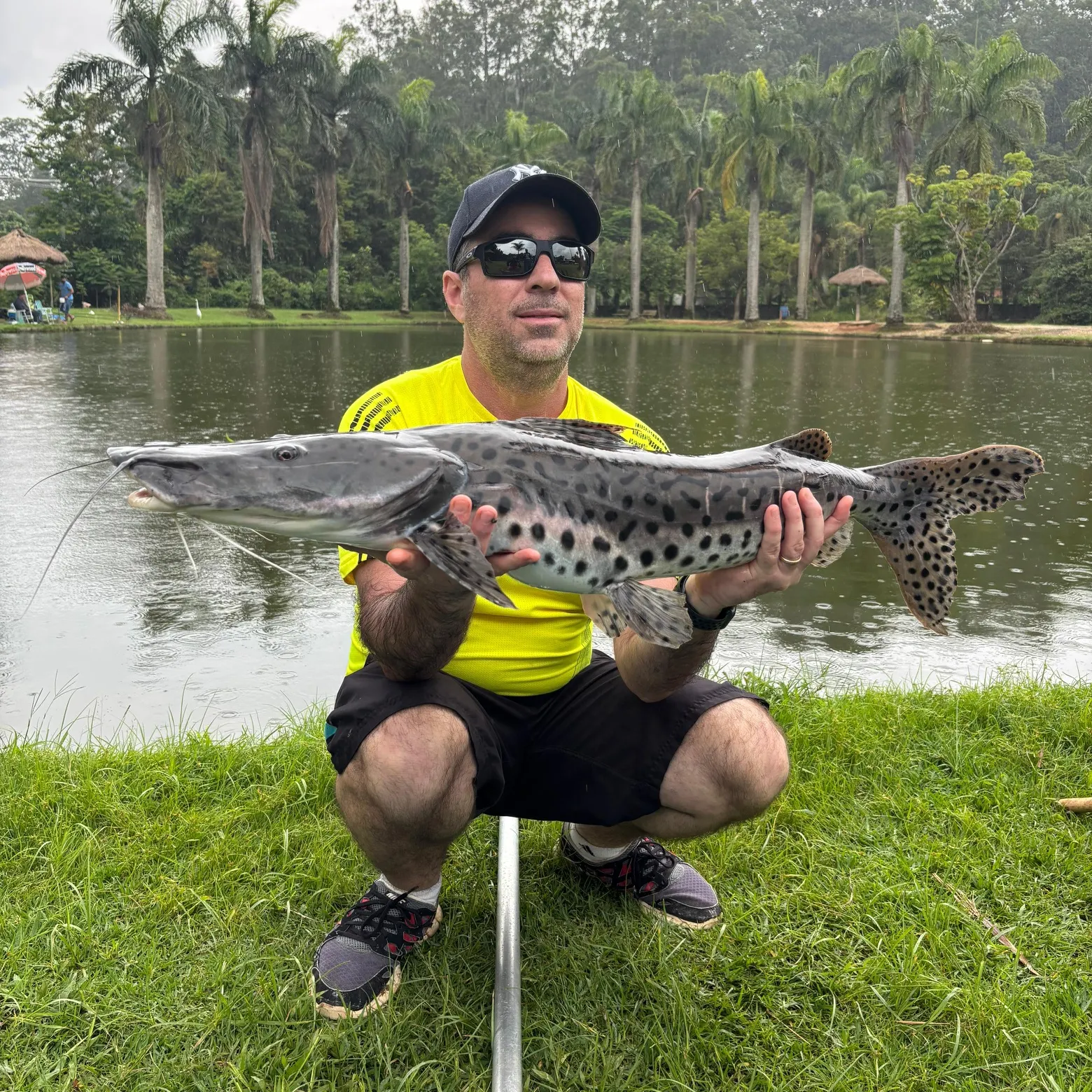 The most recent Spotted sorubim catches on Fishbrain