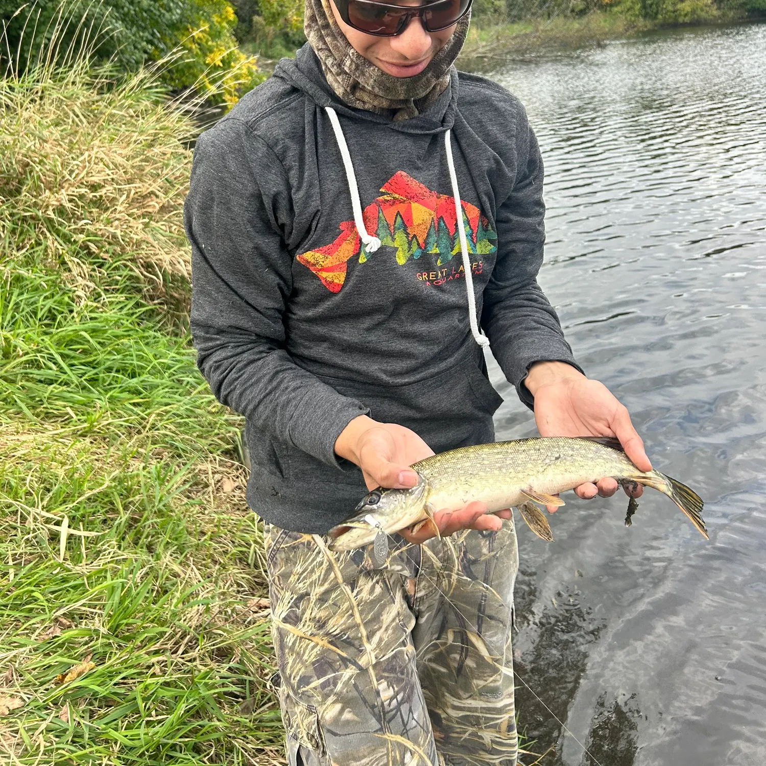 Northern pike caught on Fishbrain