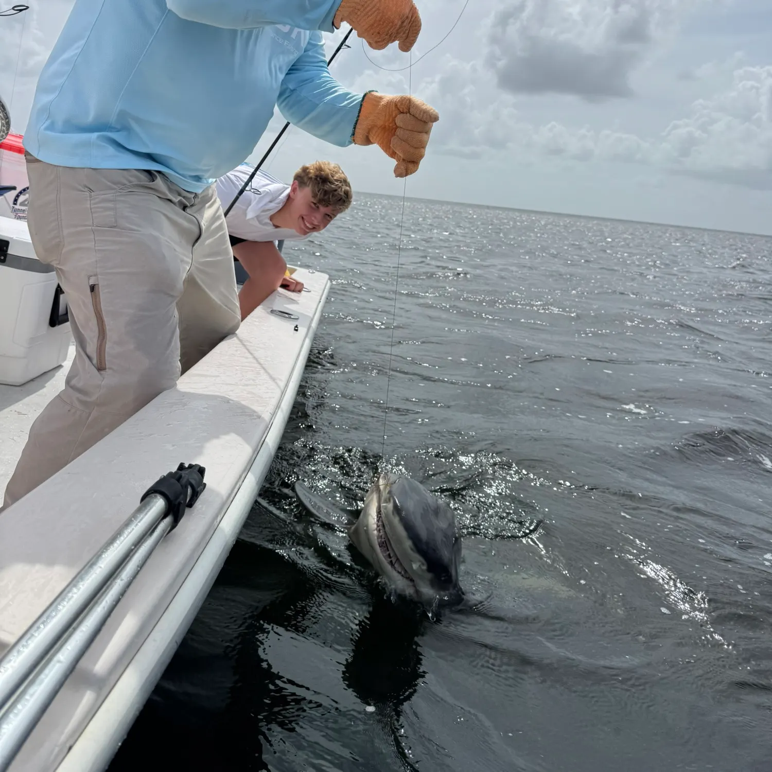 The most recent Lemon shark catches on Fishbrain