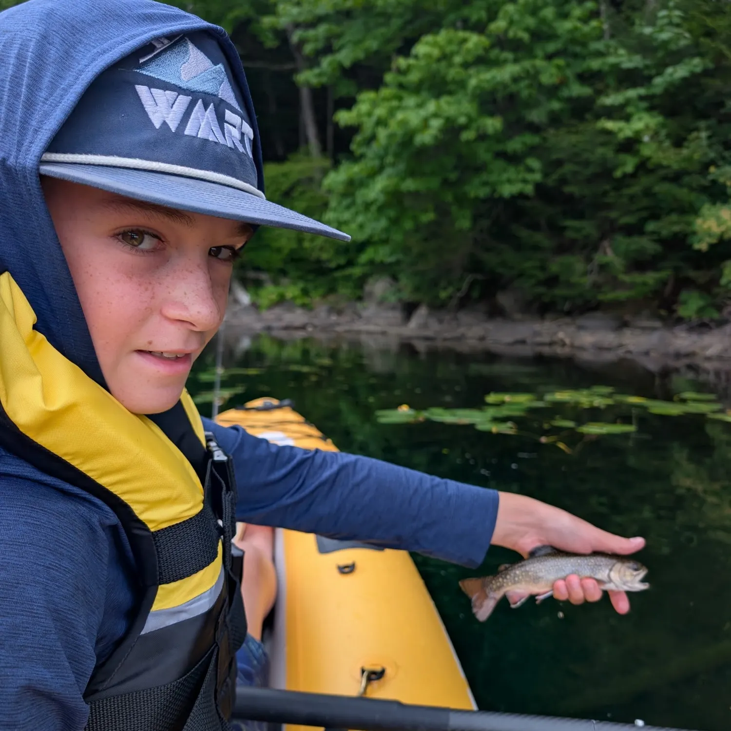 Brook trout caught on Fishbrain