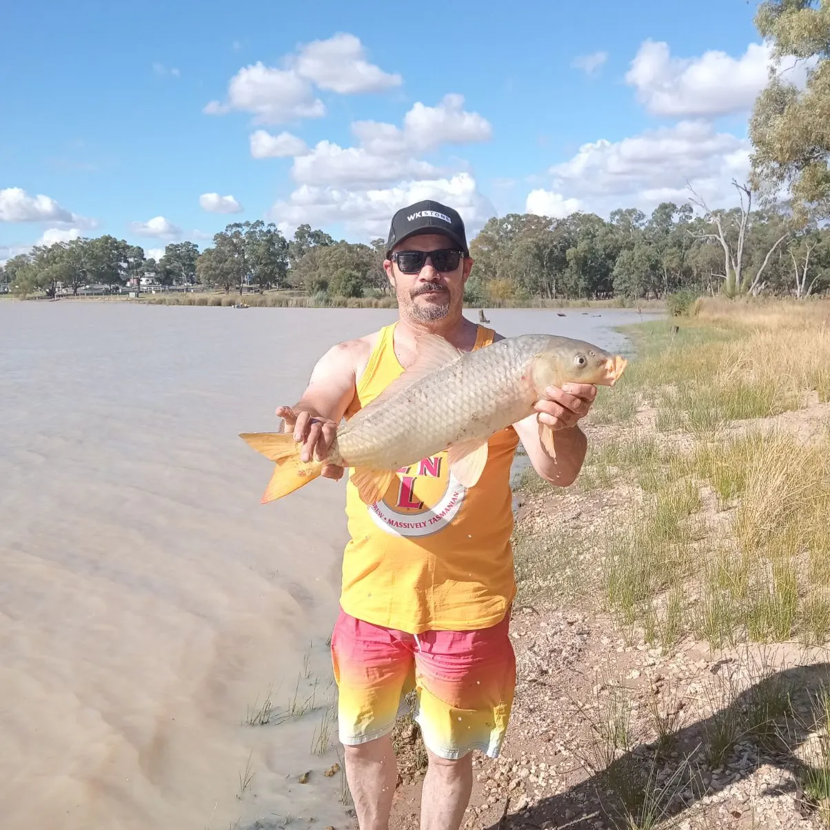 angler catch