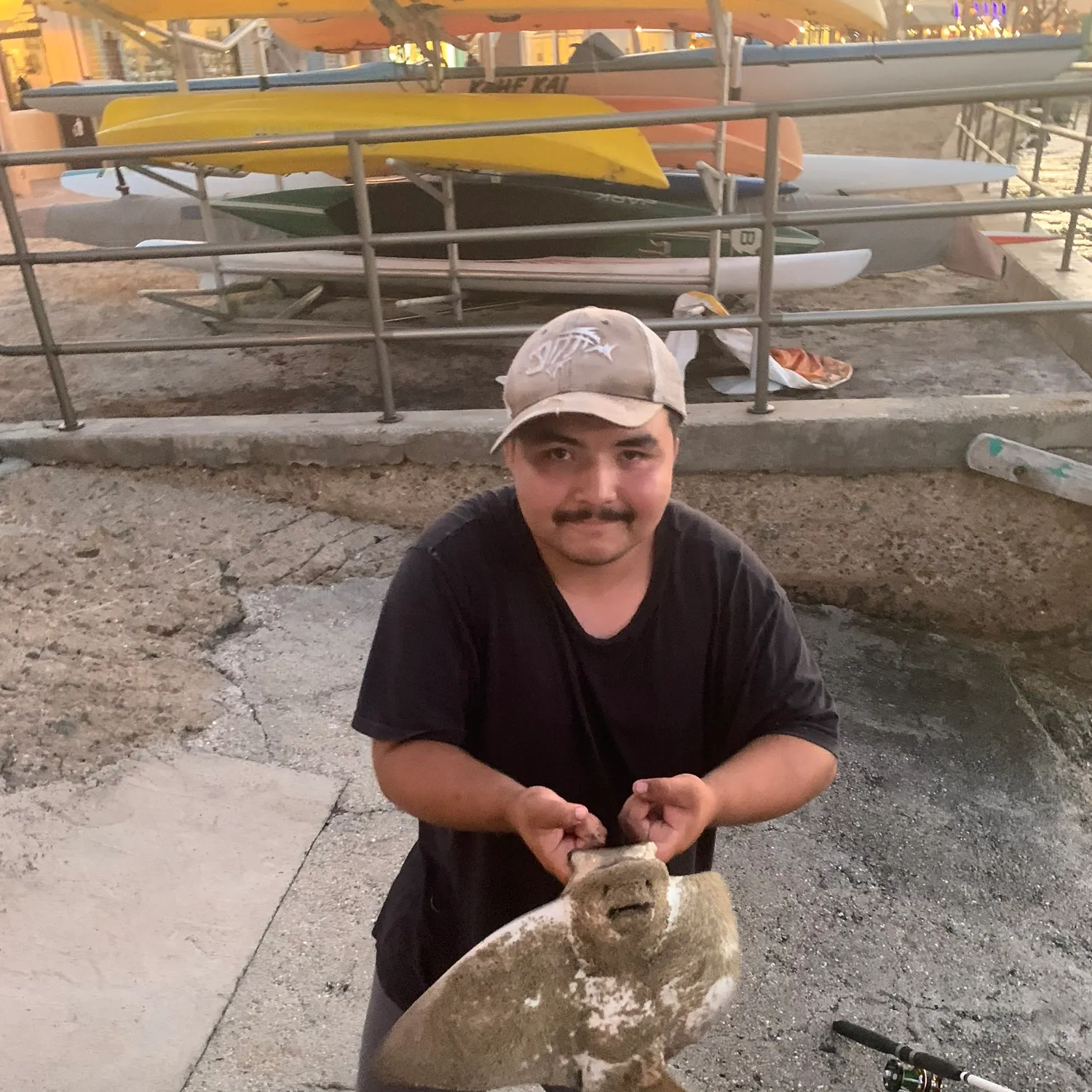 The most recent Bat eagle ray catches on Fishbrain