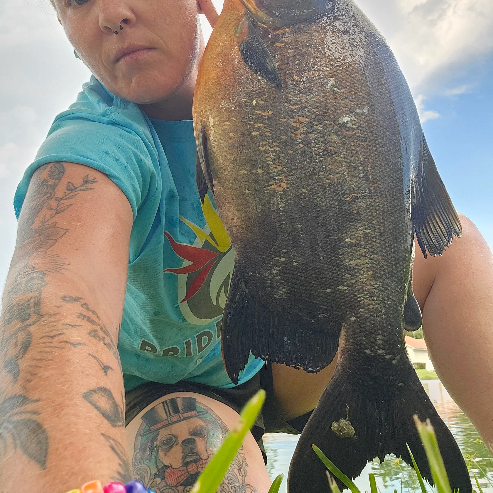 The most recent Black pacu catches on Fishbrain
