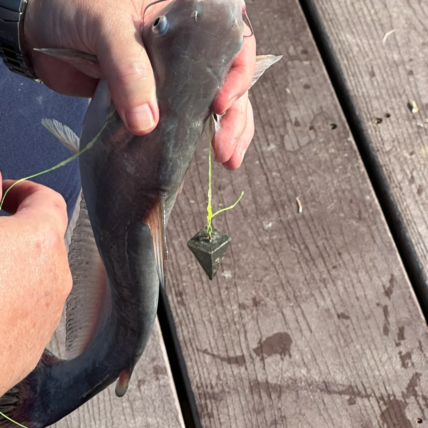 catch