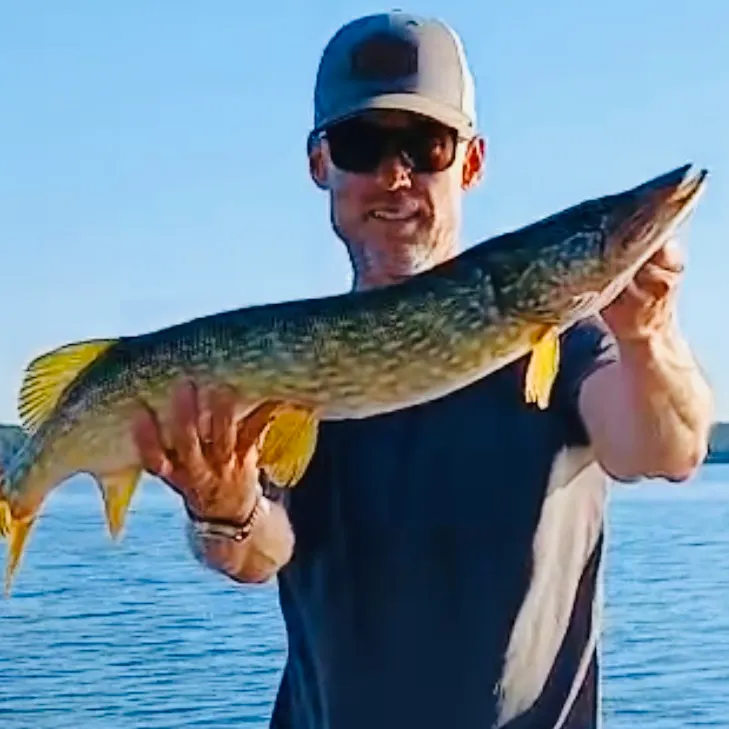 Northern pike caught on Fishbrain