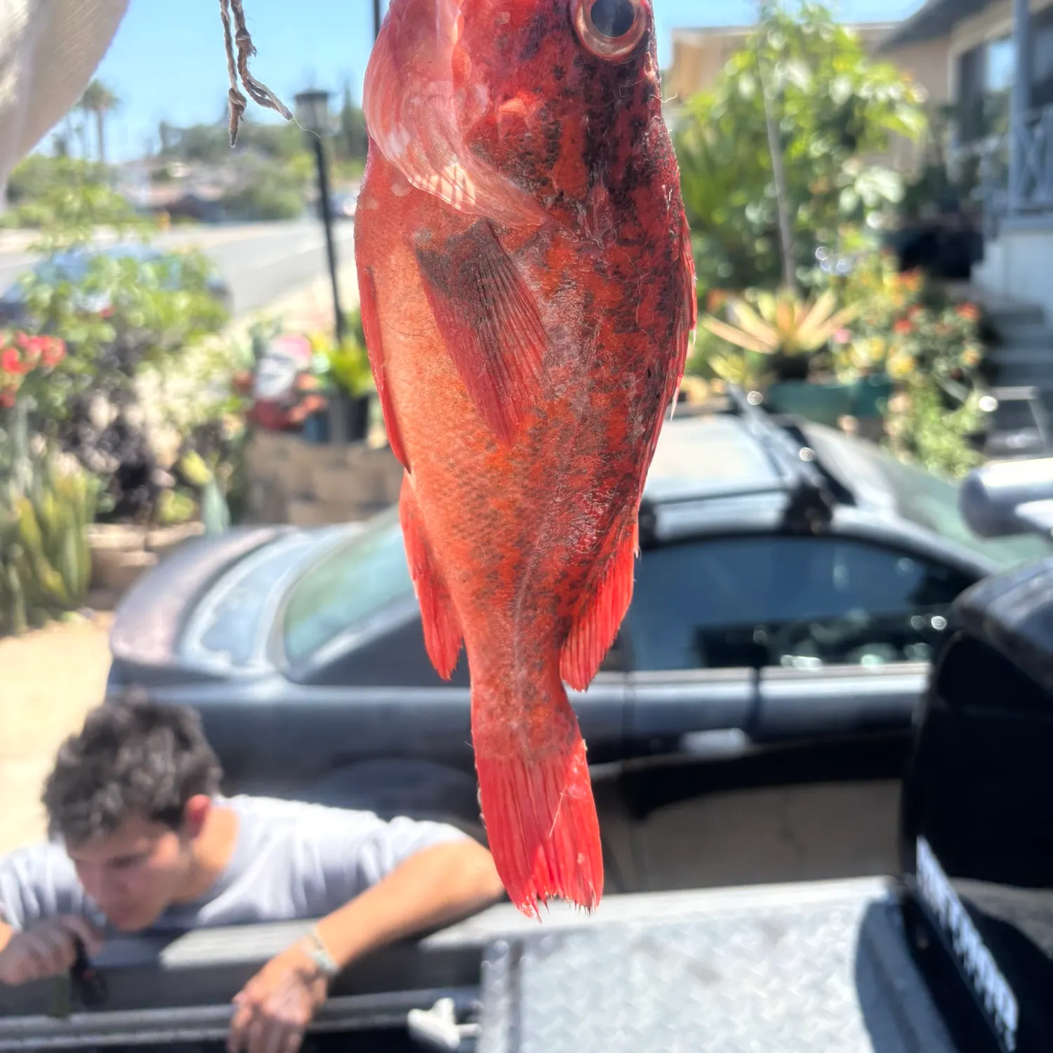 catch
