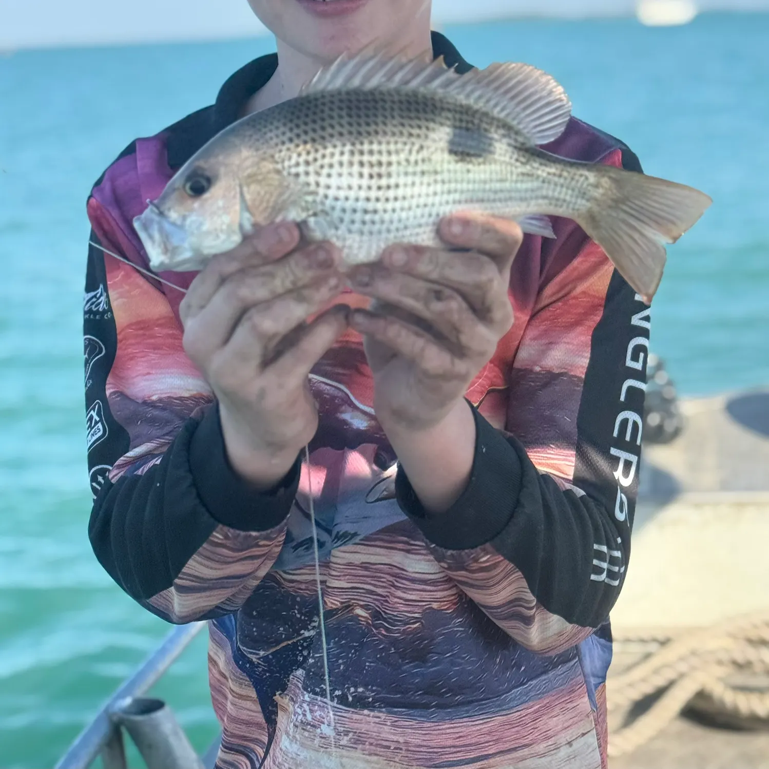 The most recent John's snapper catches on Fishbrain