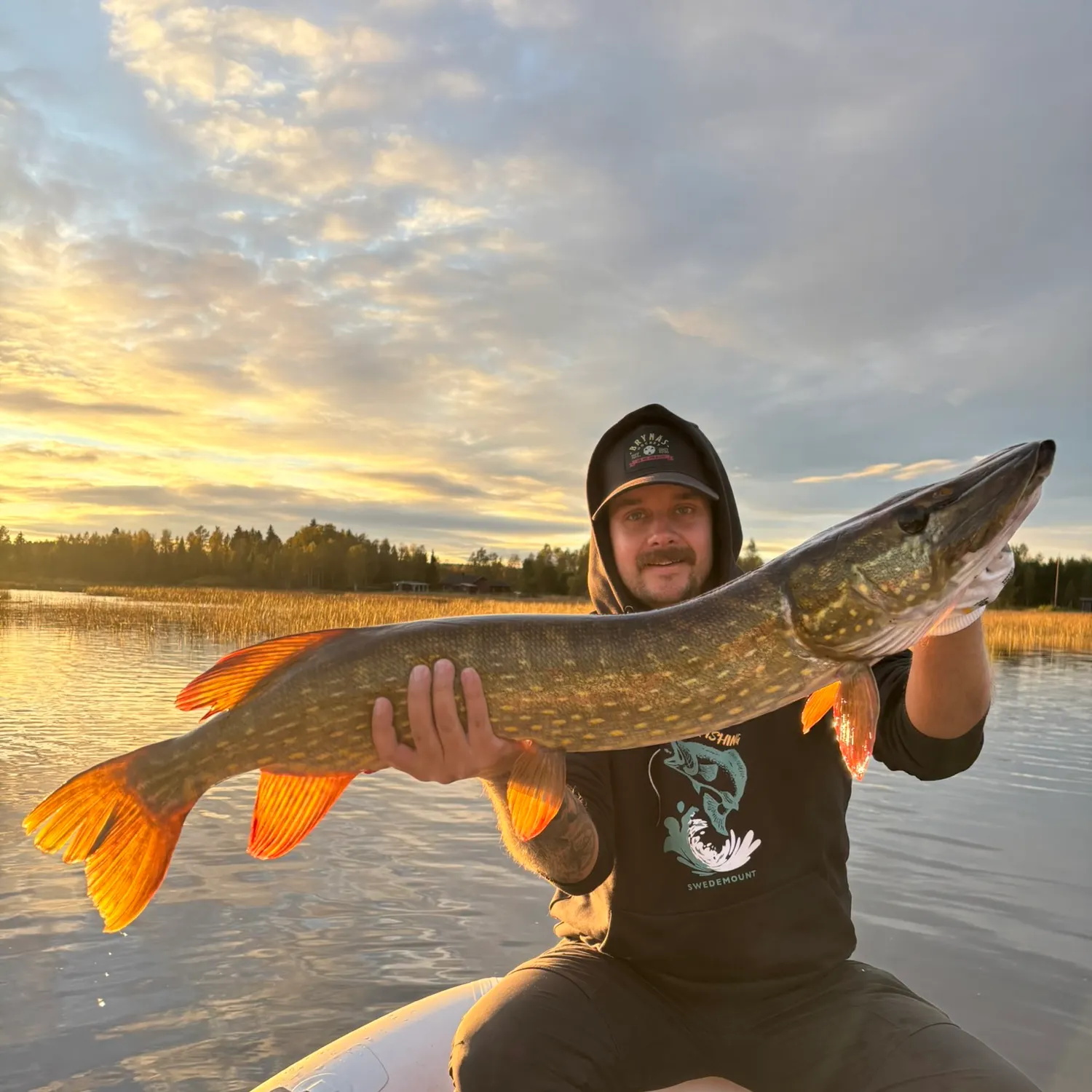 Northern pike caught on Fishbrain