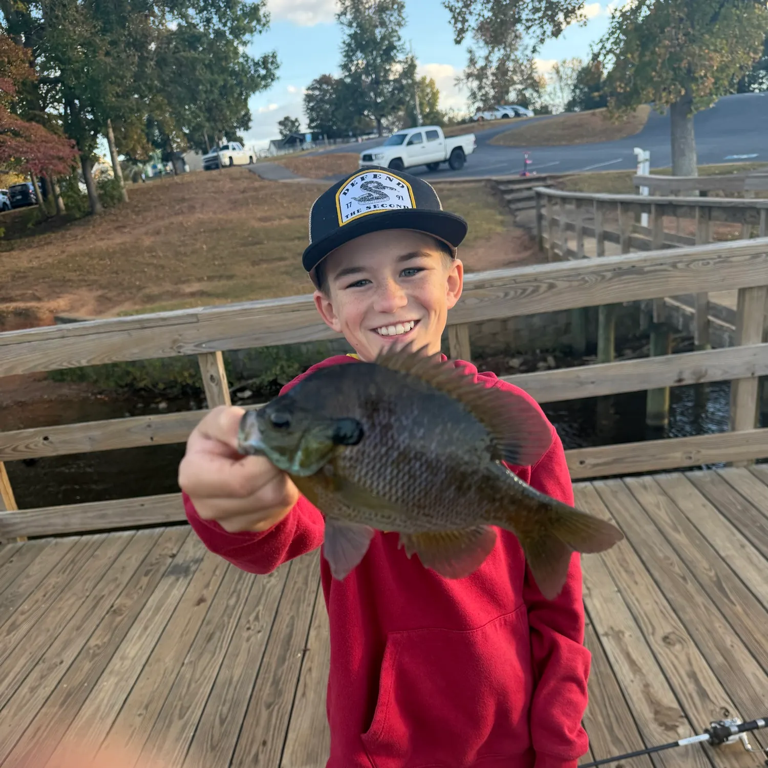 Greengill hybrid caught on Fishbrain