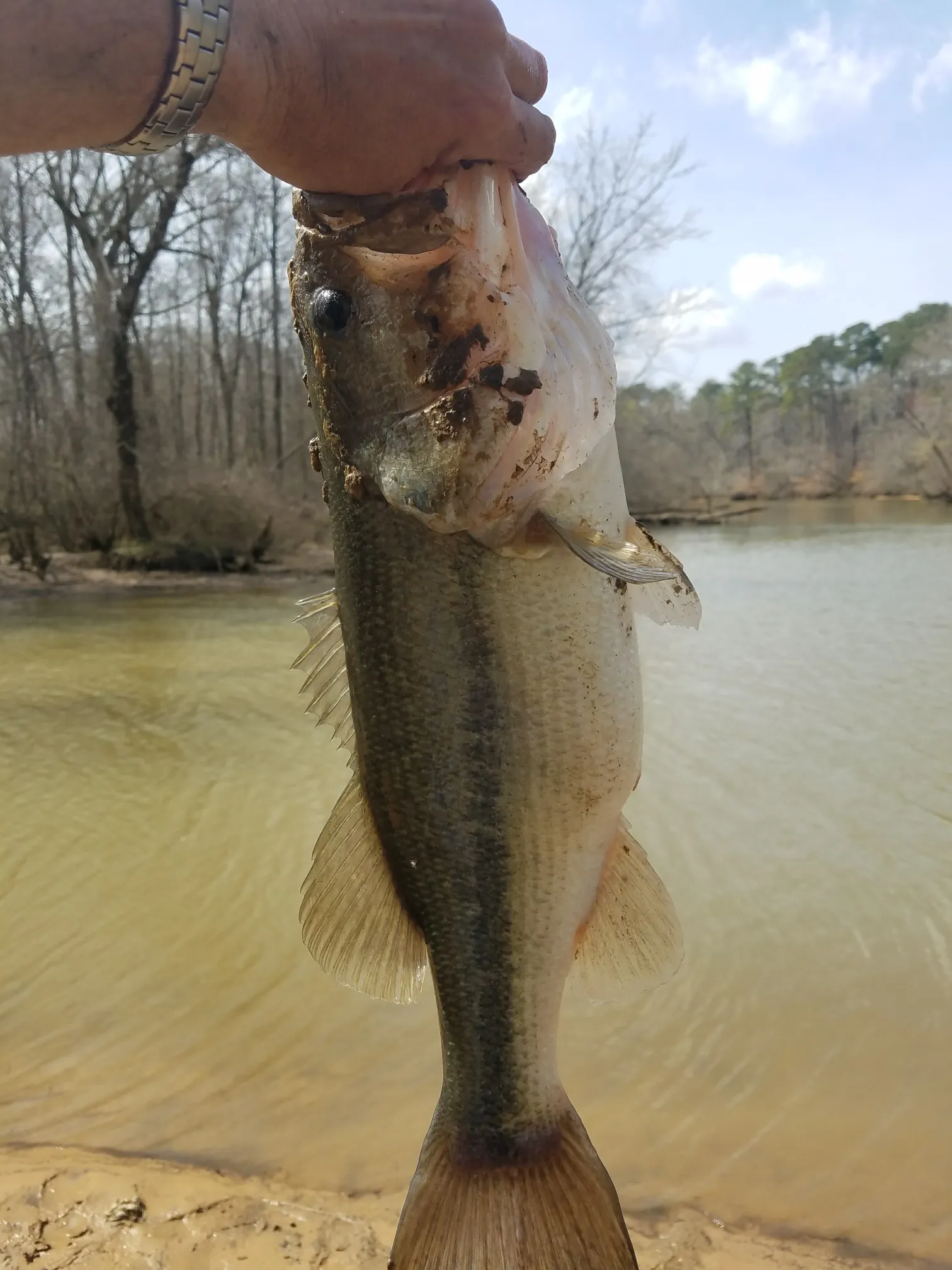 Post image from rself186