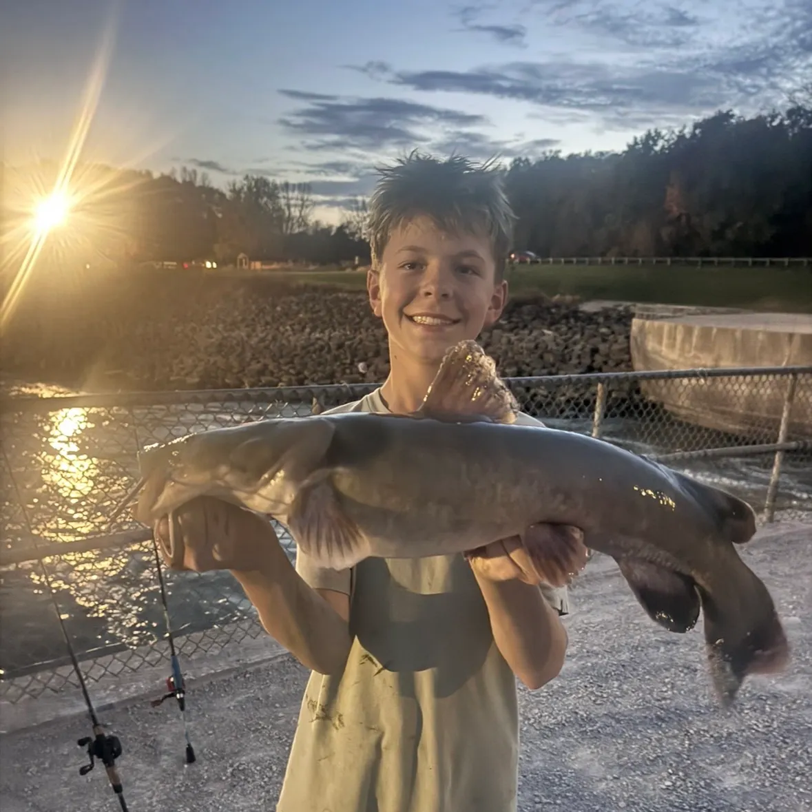 Flathead catfish caught on Fishbrain