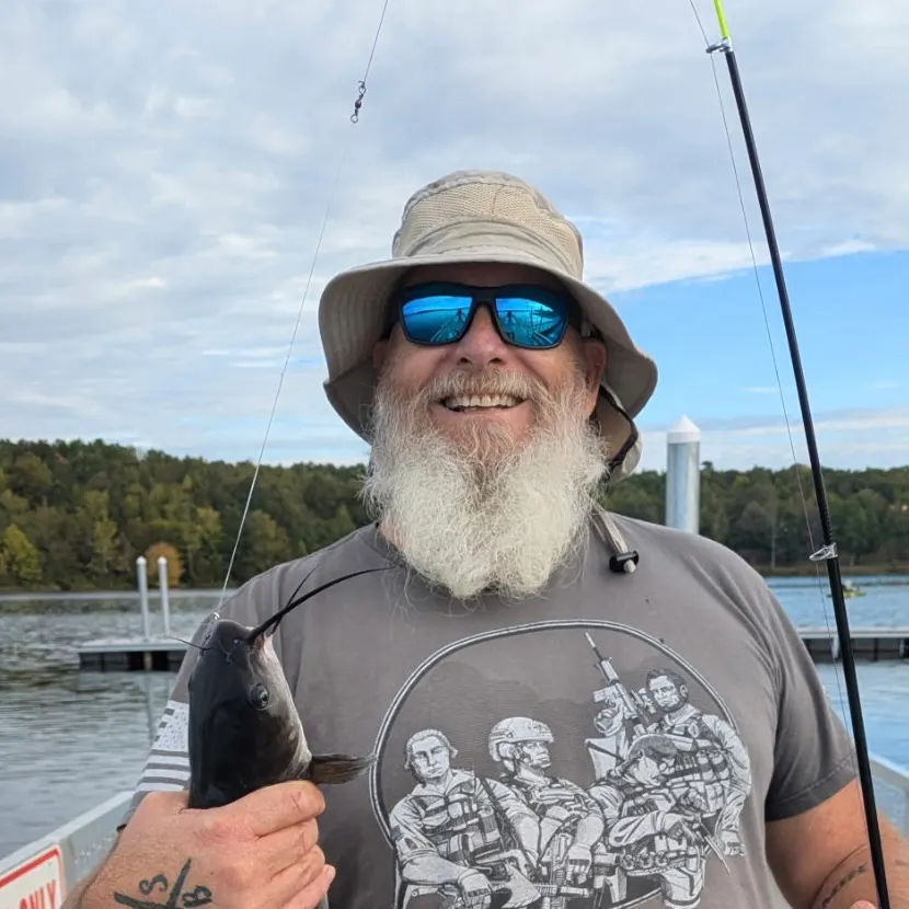 Blue catfish caught on Fishbrain